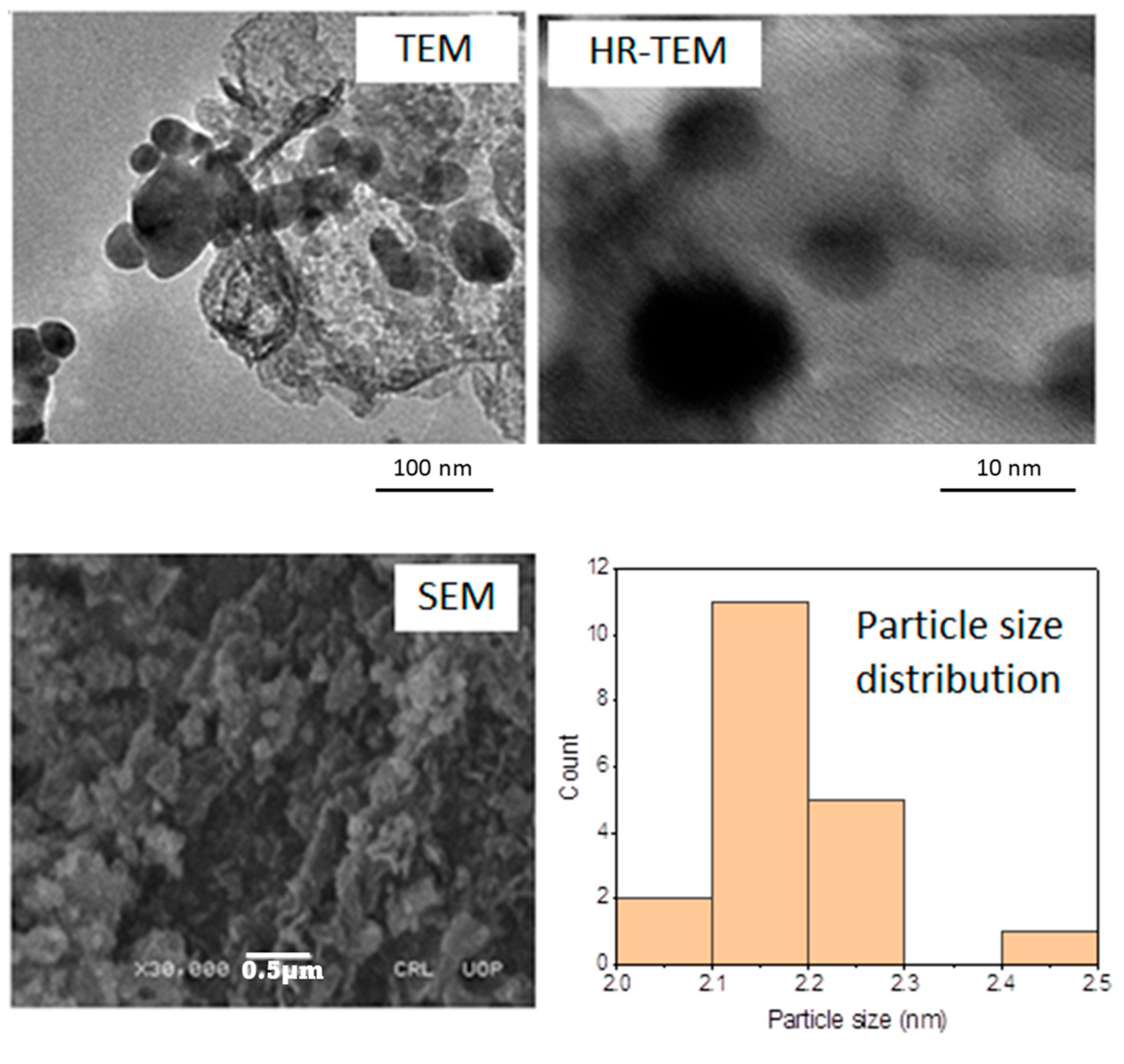 Catalysts 14 00392 g003