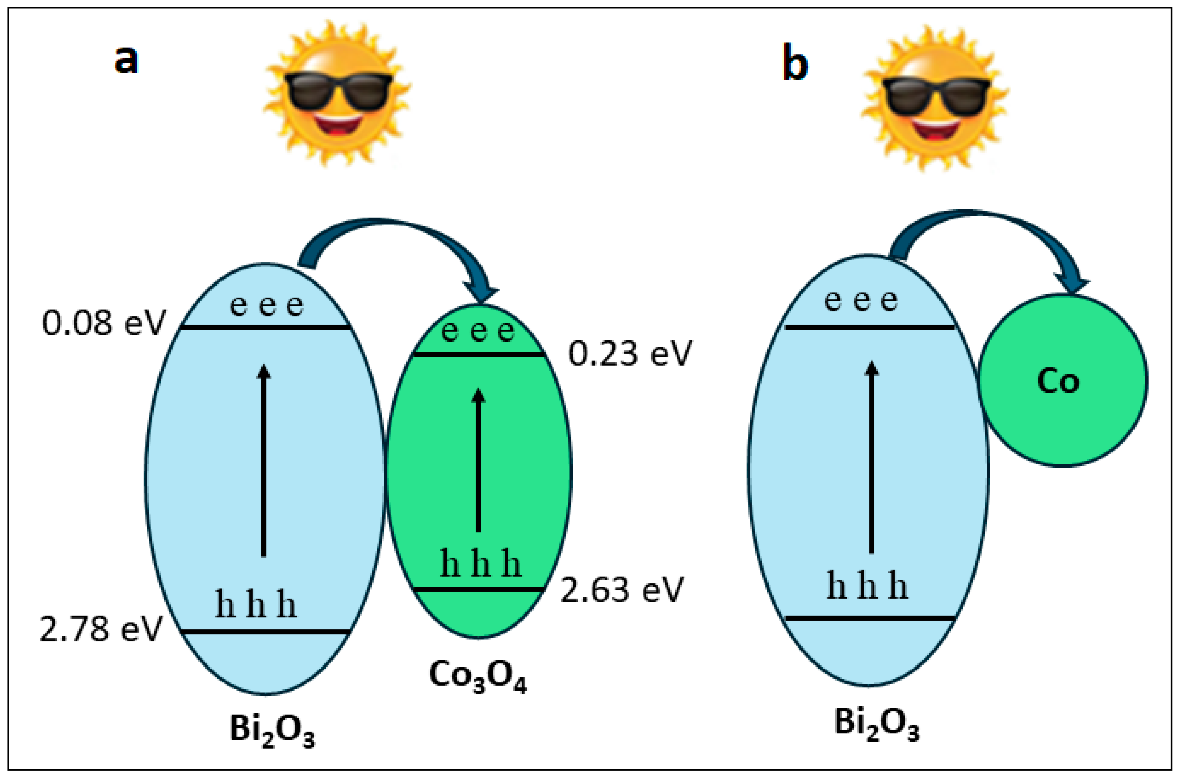 Catalysts 14 00392 g008