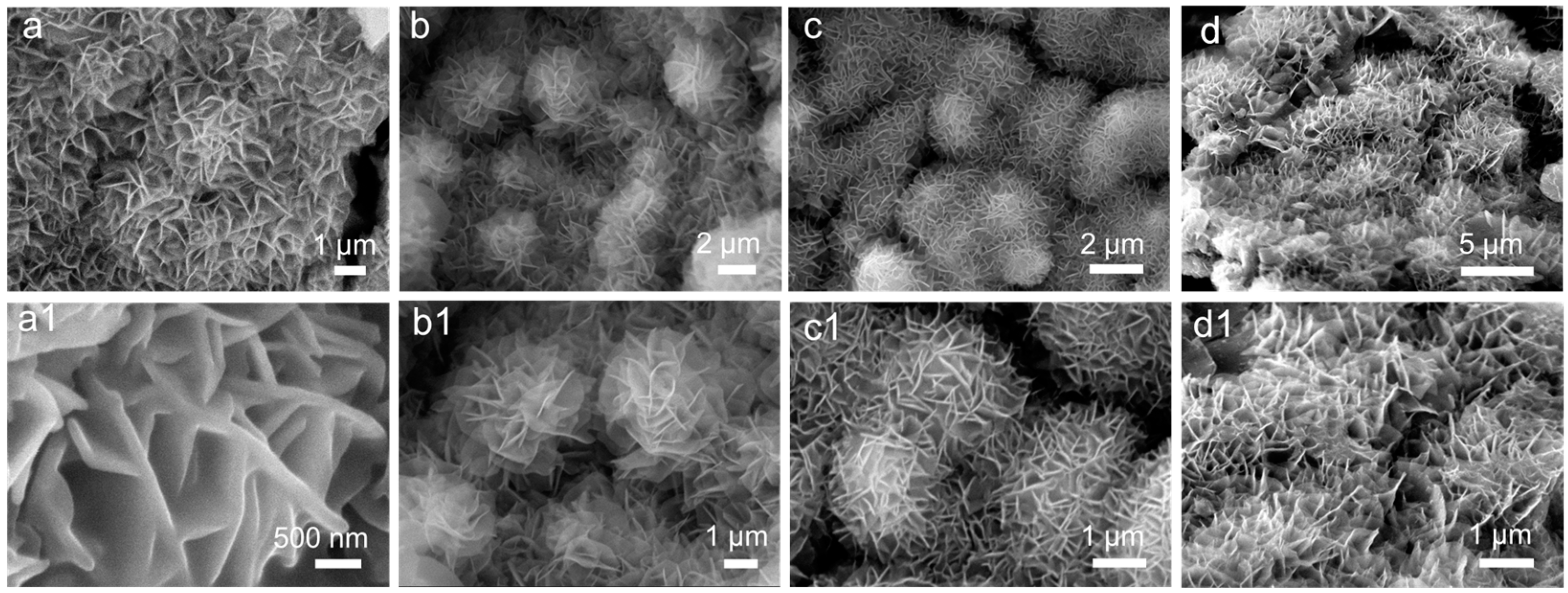 Catalysts 14 00394 g003