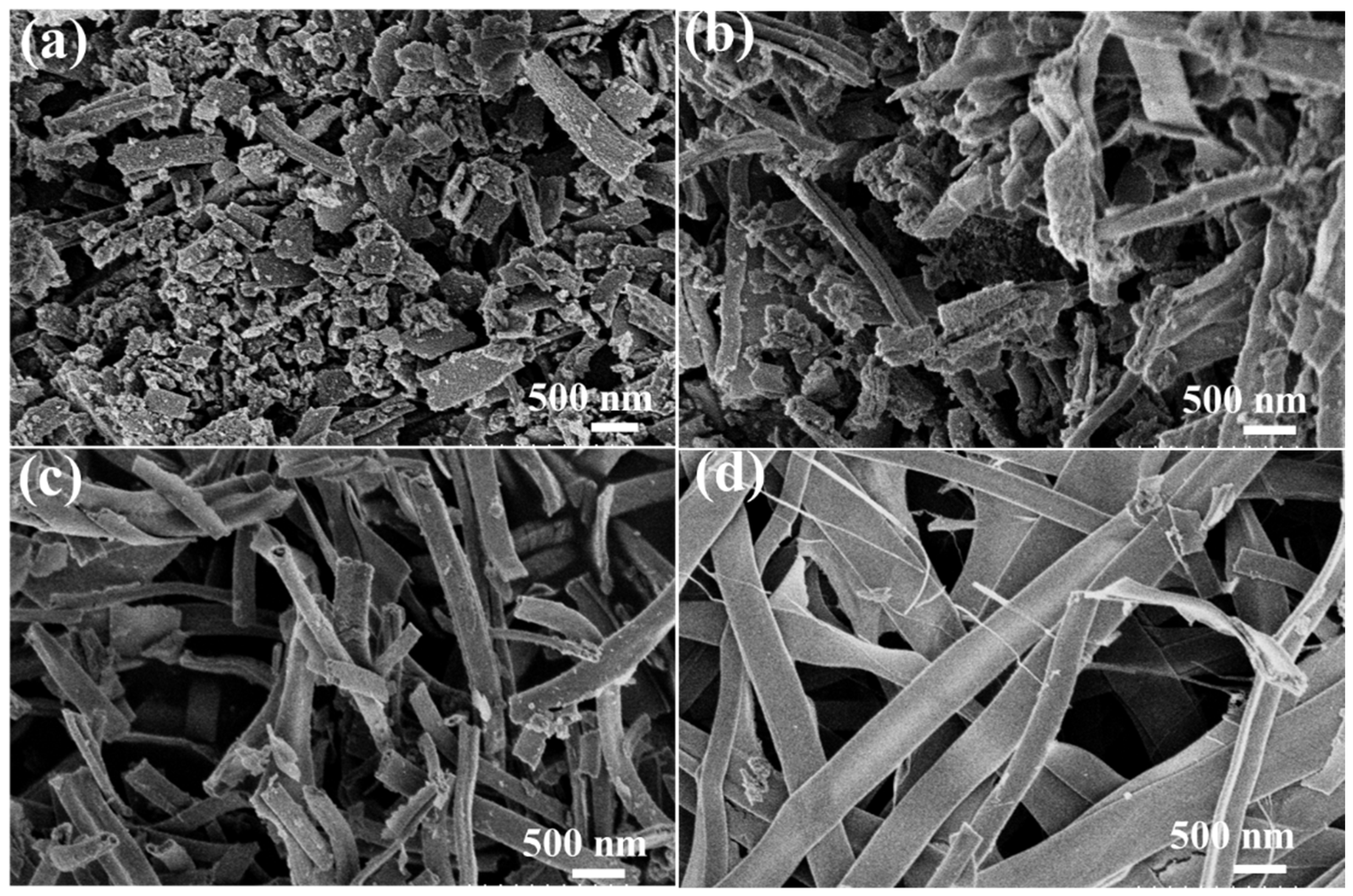Catalysts 14 00403 g002