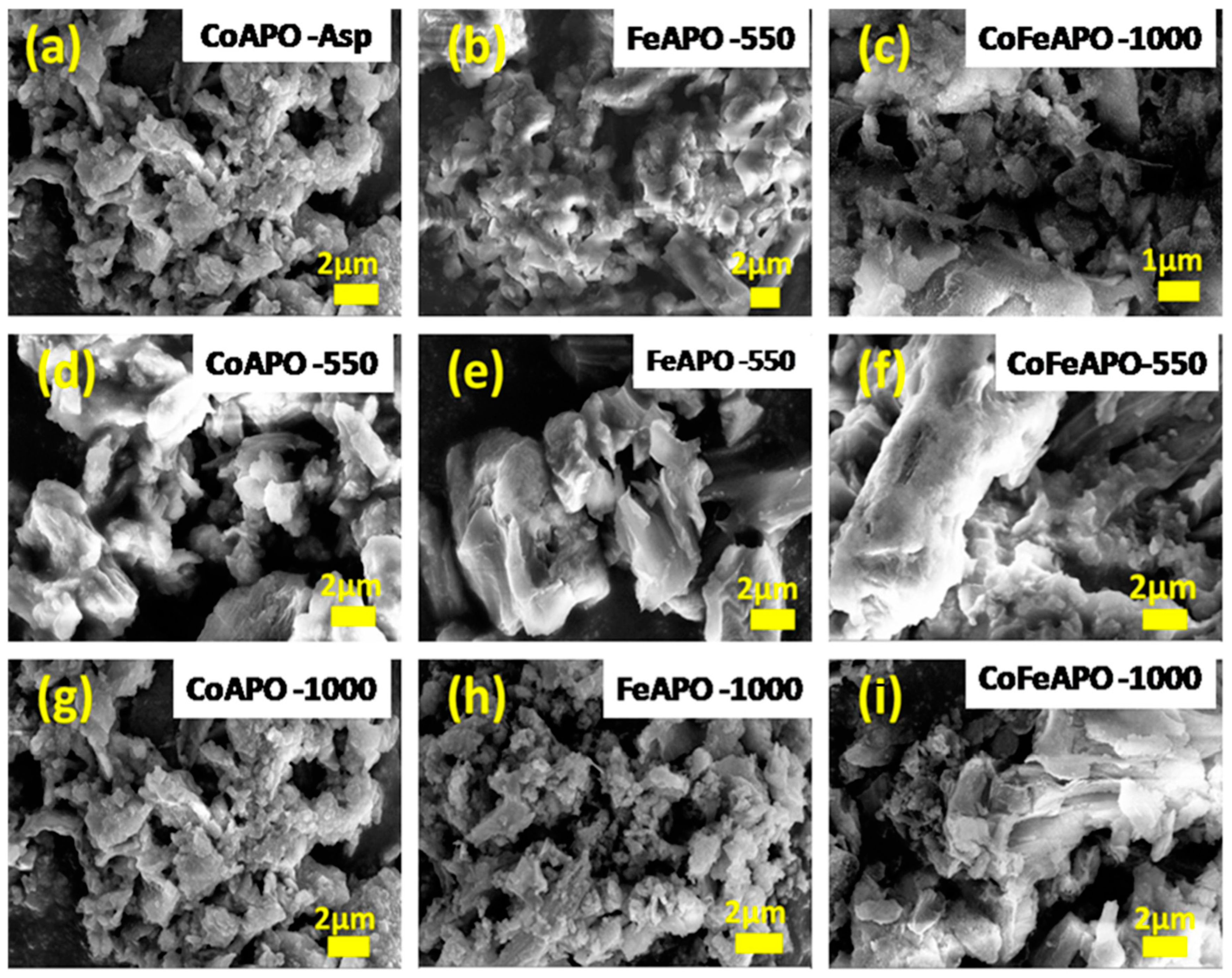 Catalysts 14 00408 g003