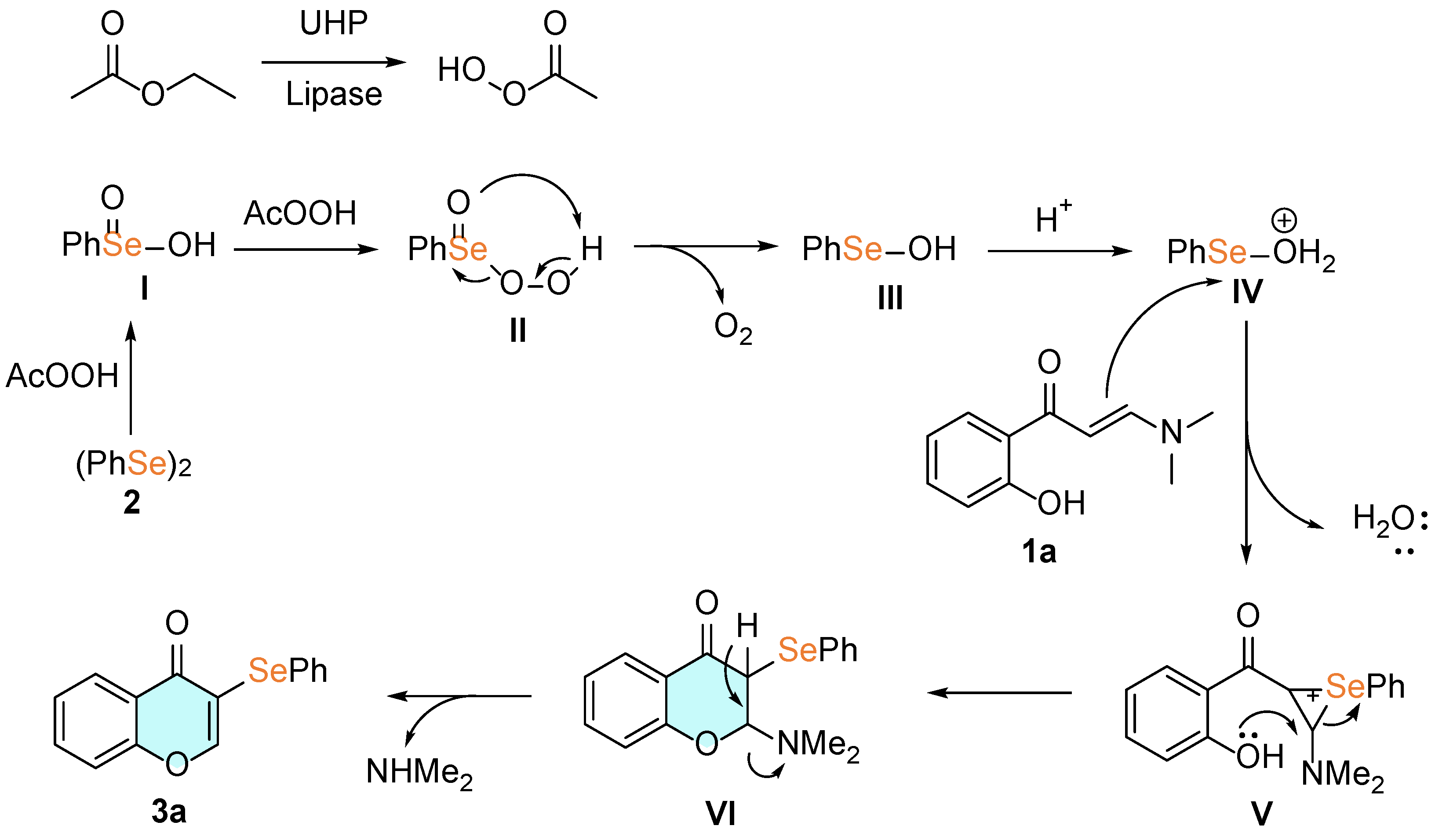 Catalysts 14 00413 sch003