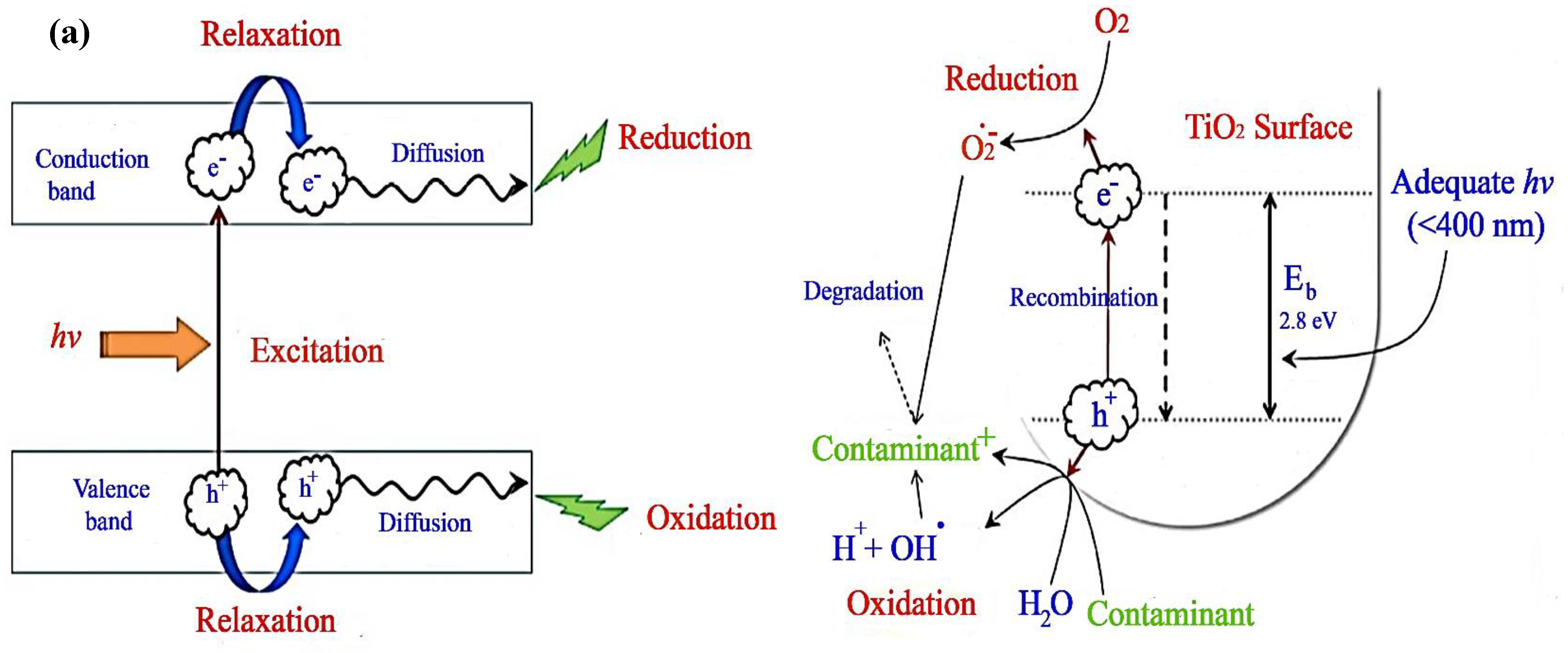 Catalysts 14 00420 g004a