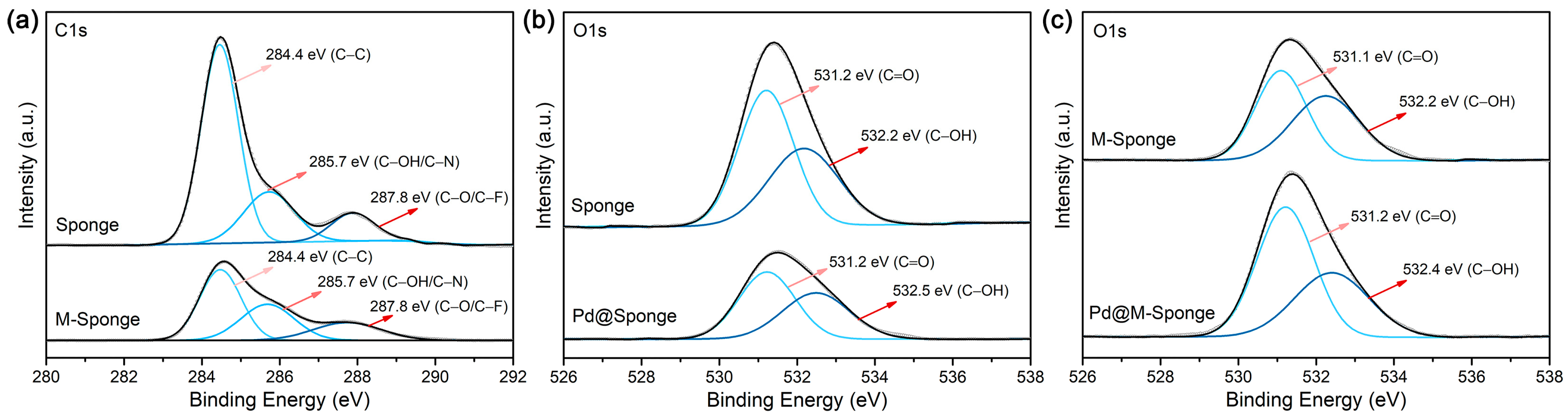 Catalysts 14 00424 g003