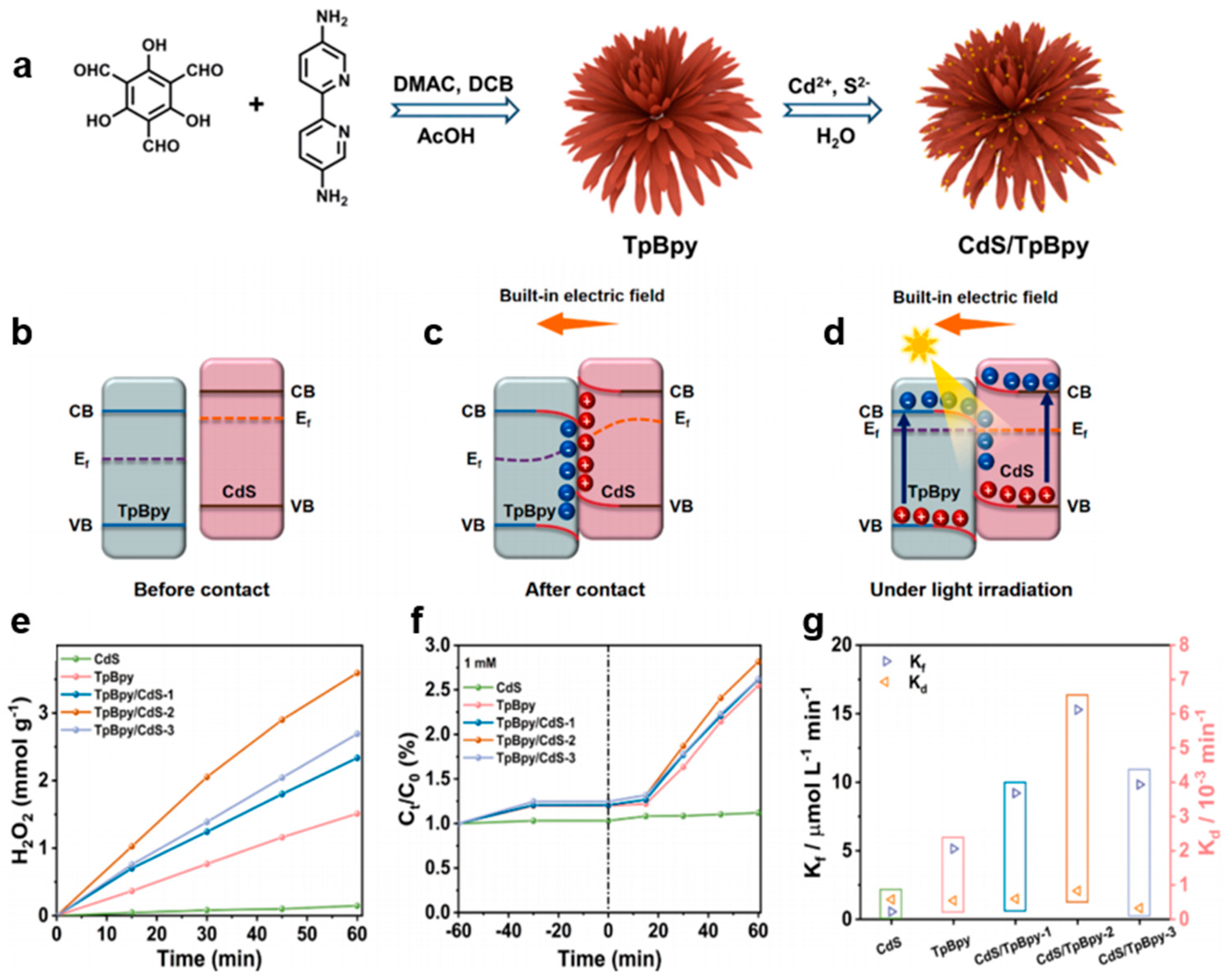 Catalysts 14 00429 g007