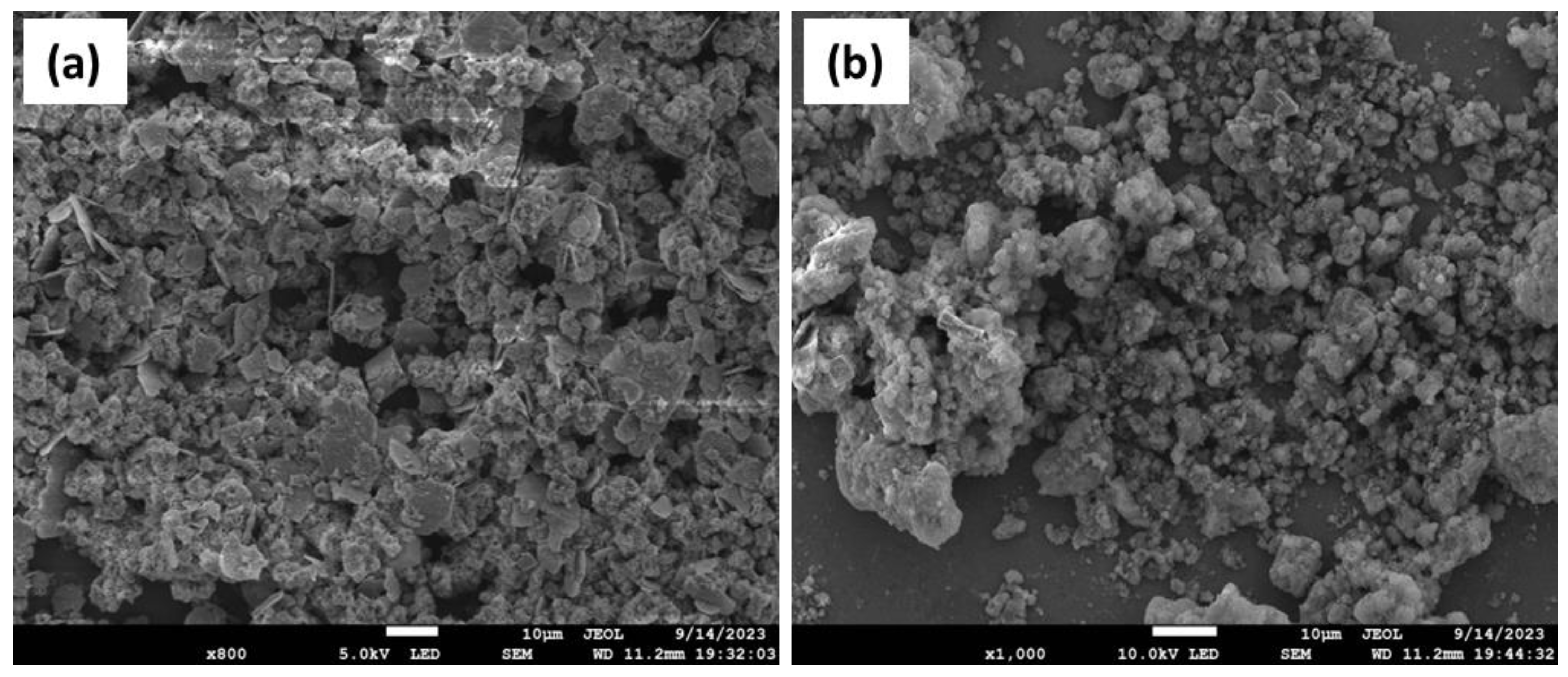 Catalysts 14 00430 g001