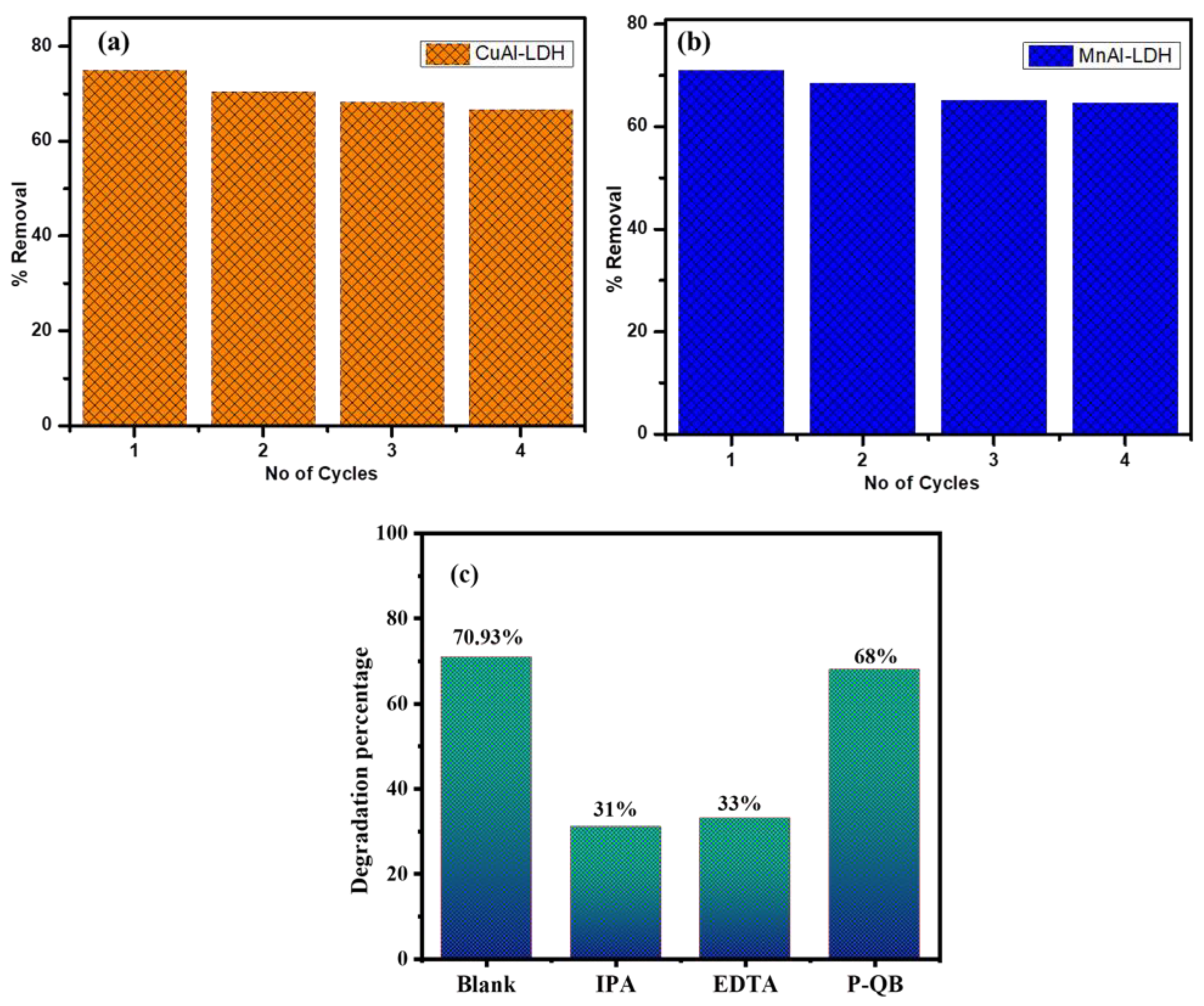 Catalysts 14 00430 g008