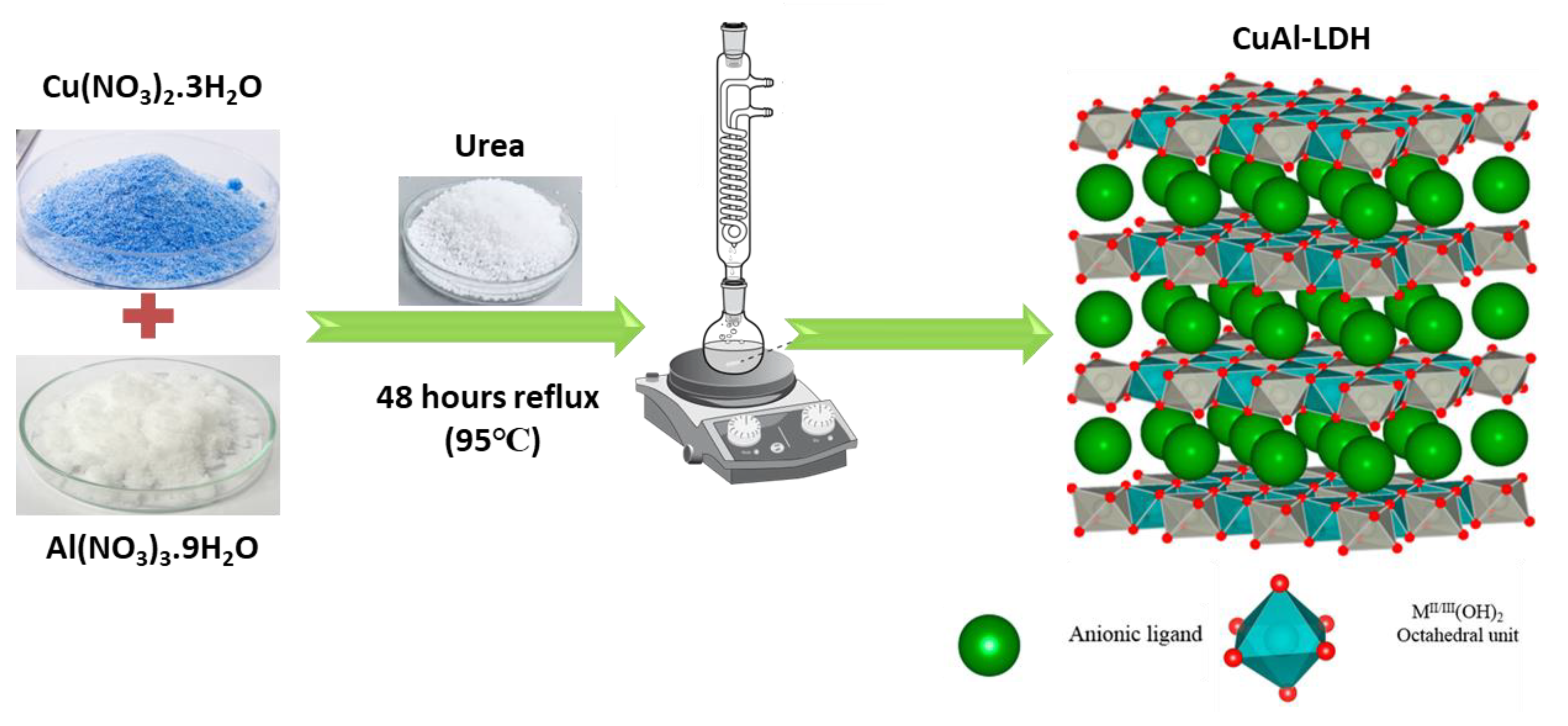 Catalysts 14 00430 g009