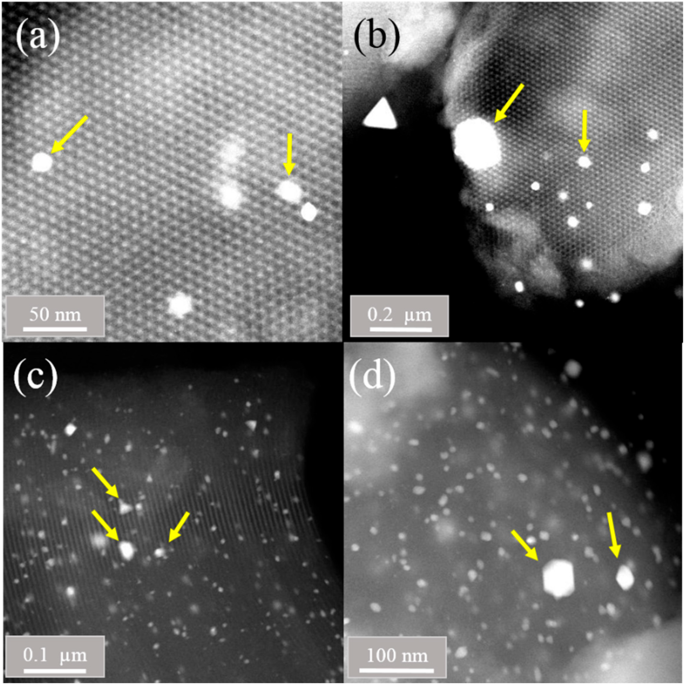 Catalysts 14 00436 g004