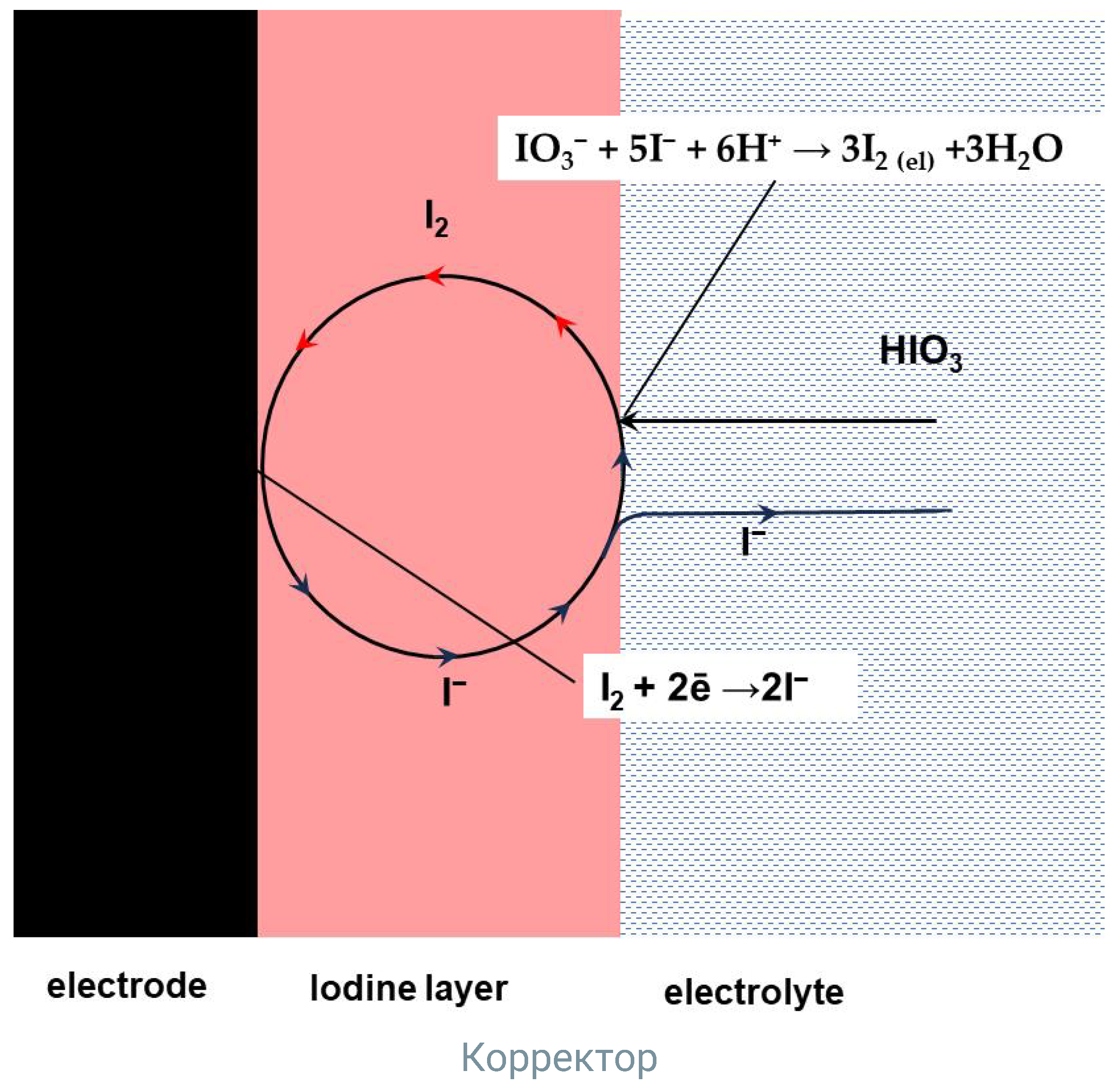 Catalysts 14 00437 g005