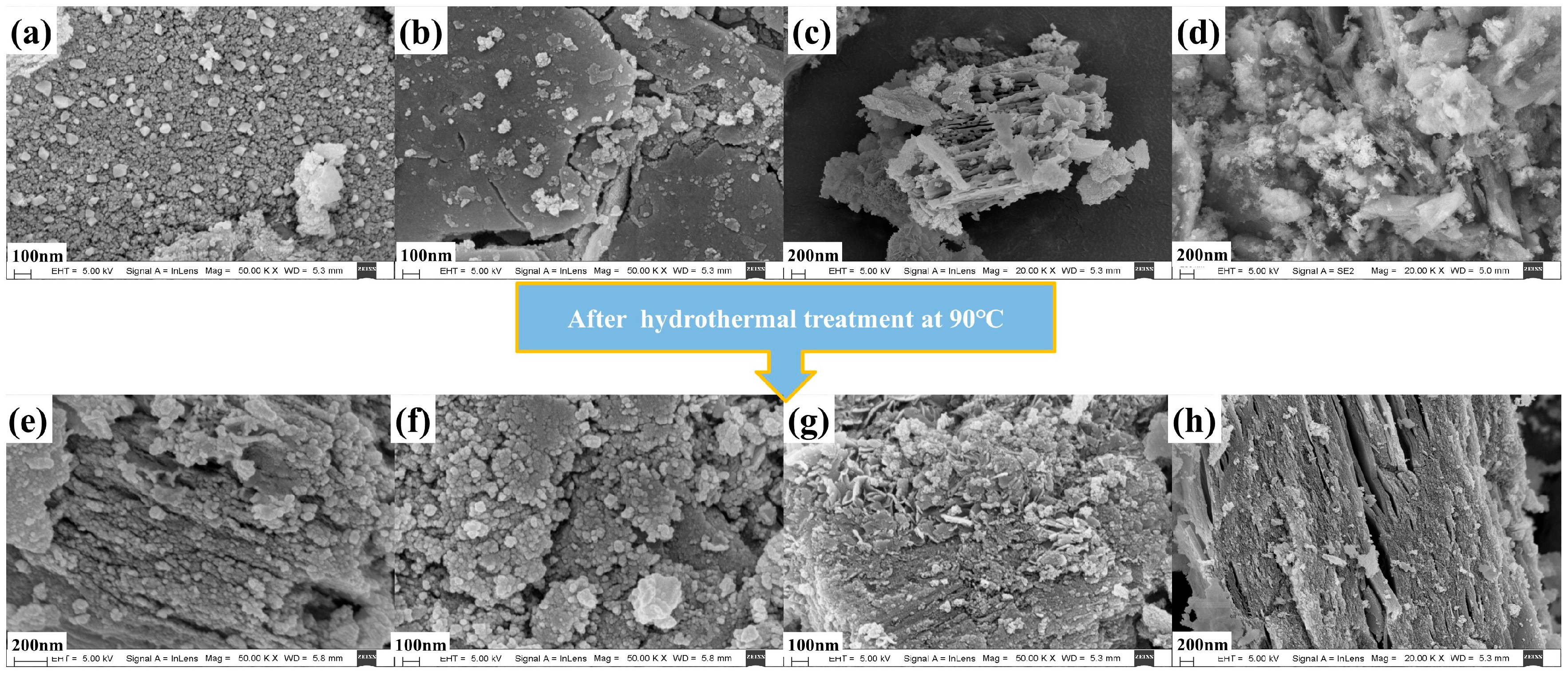 Catalysts 14 00443 g004