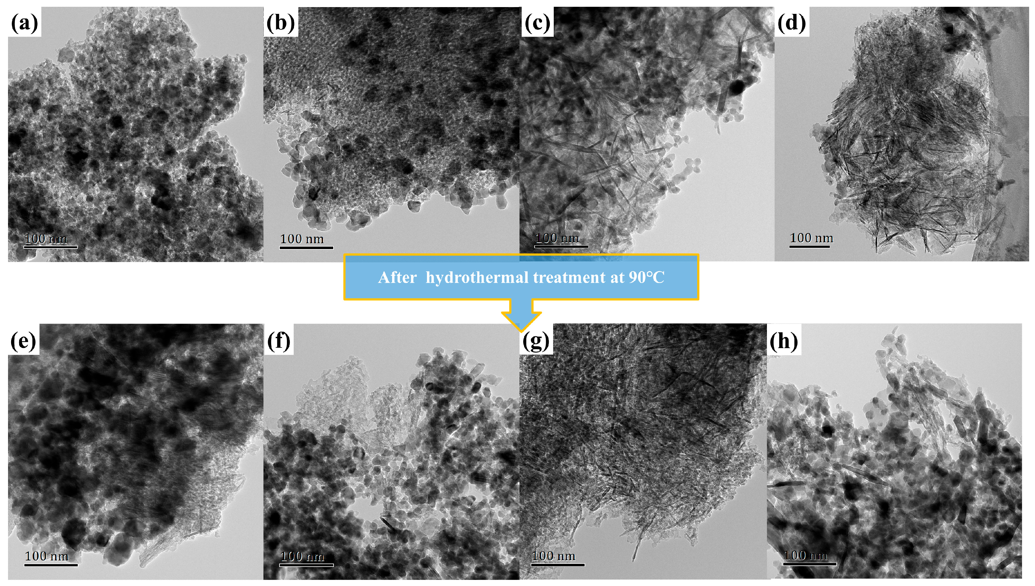 Catalysts 14 00443 g005