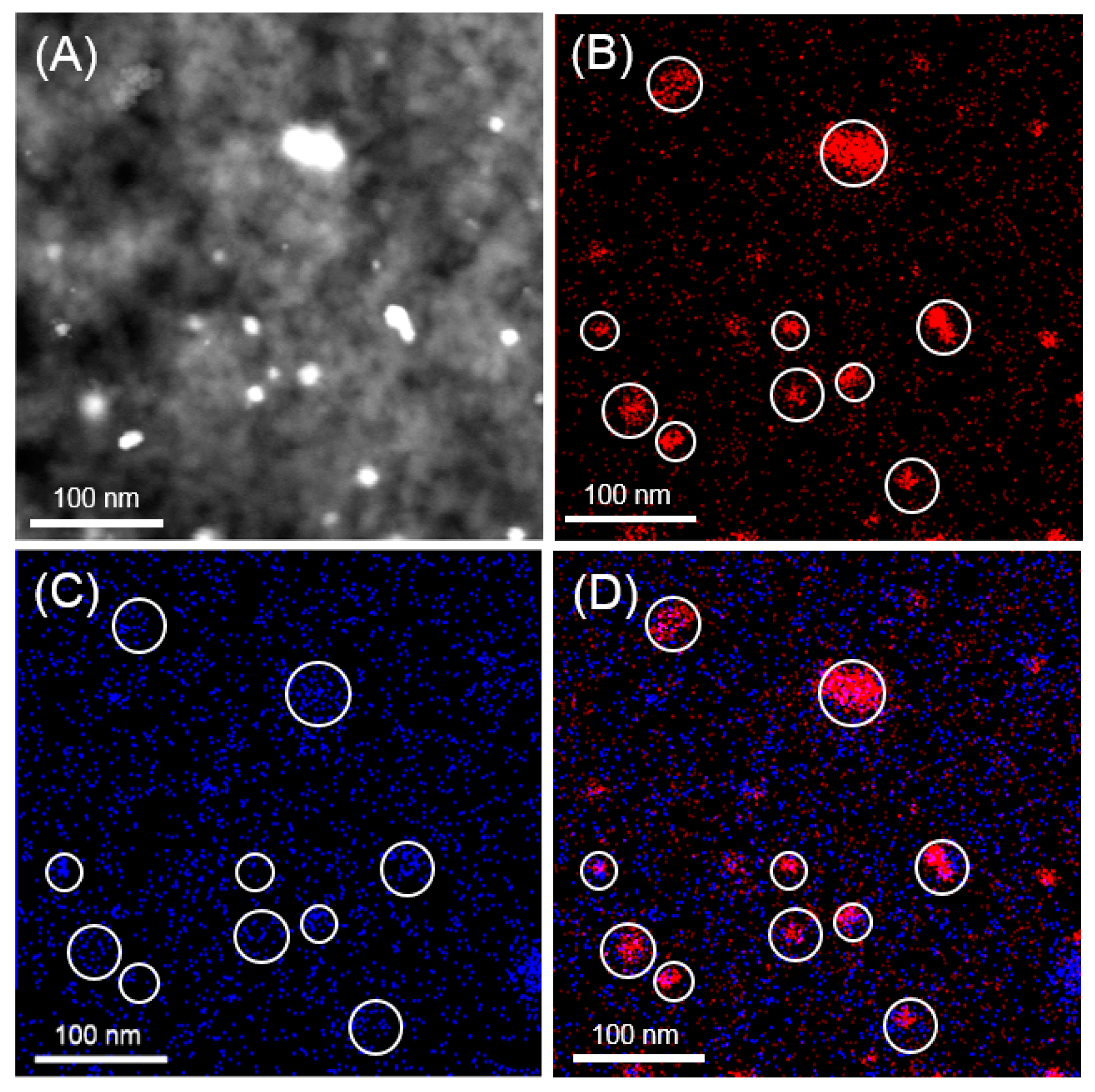 Catalysts 14 00456 g009