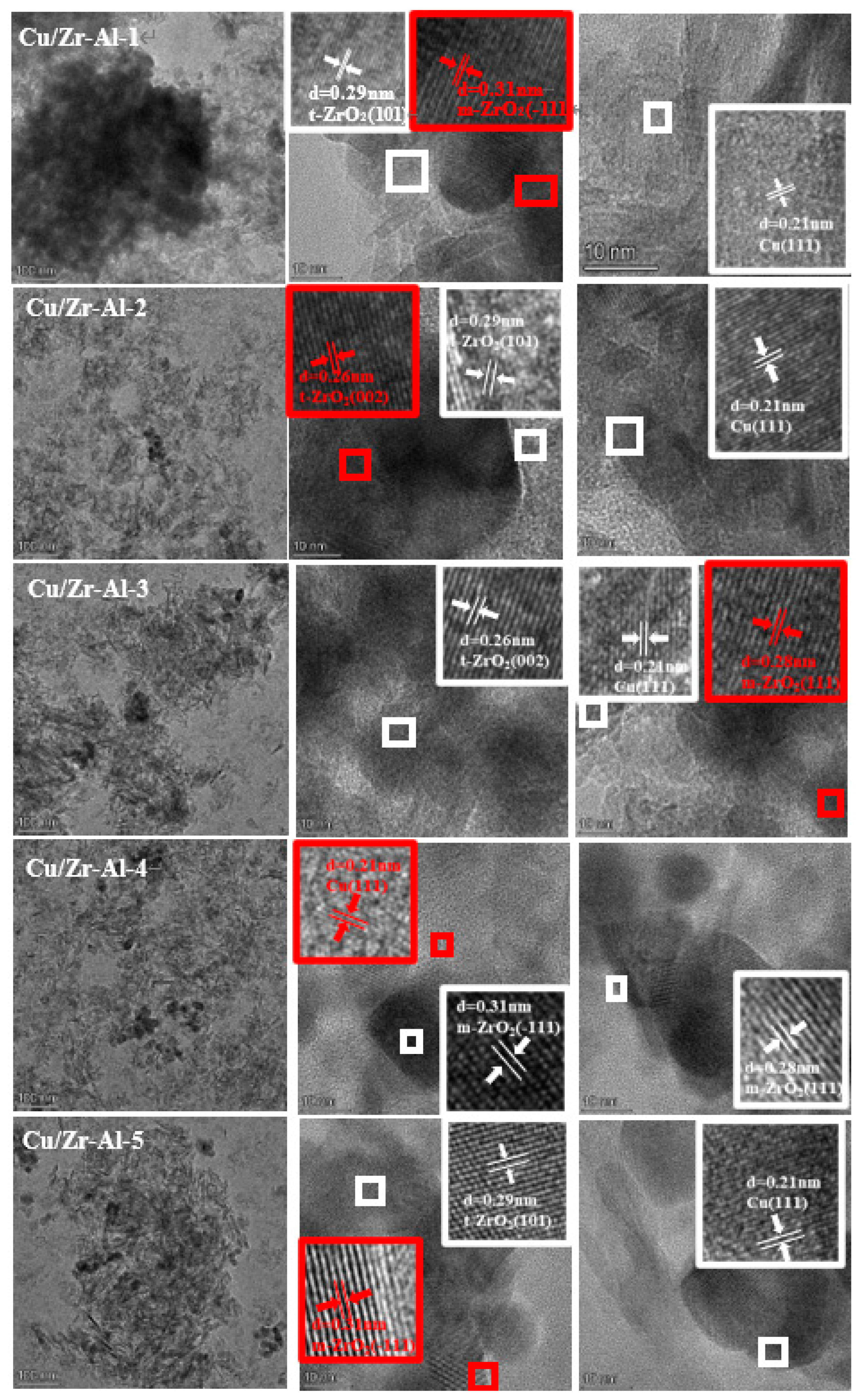 Catalysts 14 00480 g008