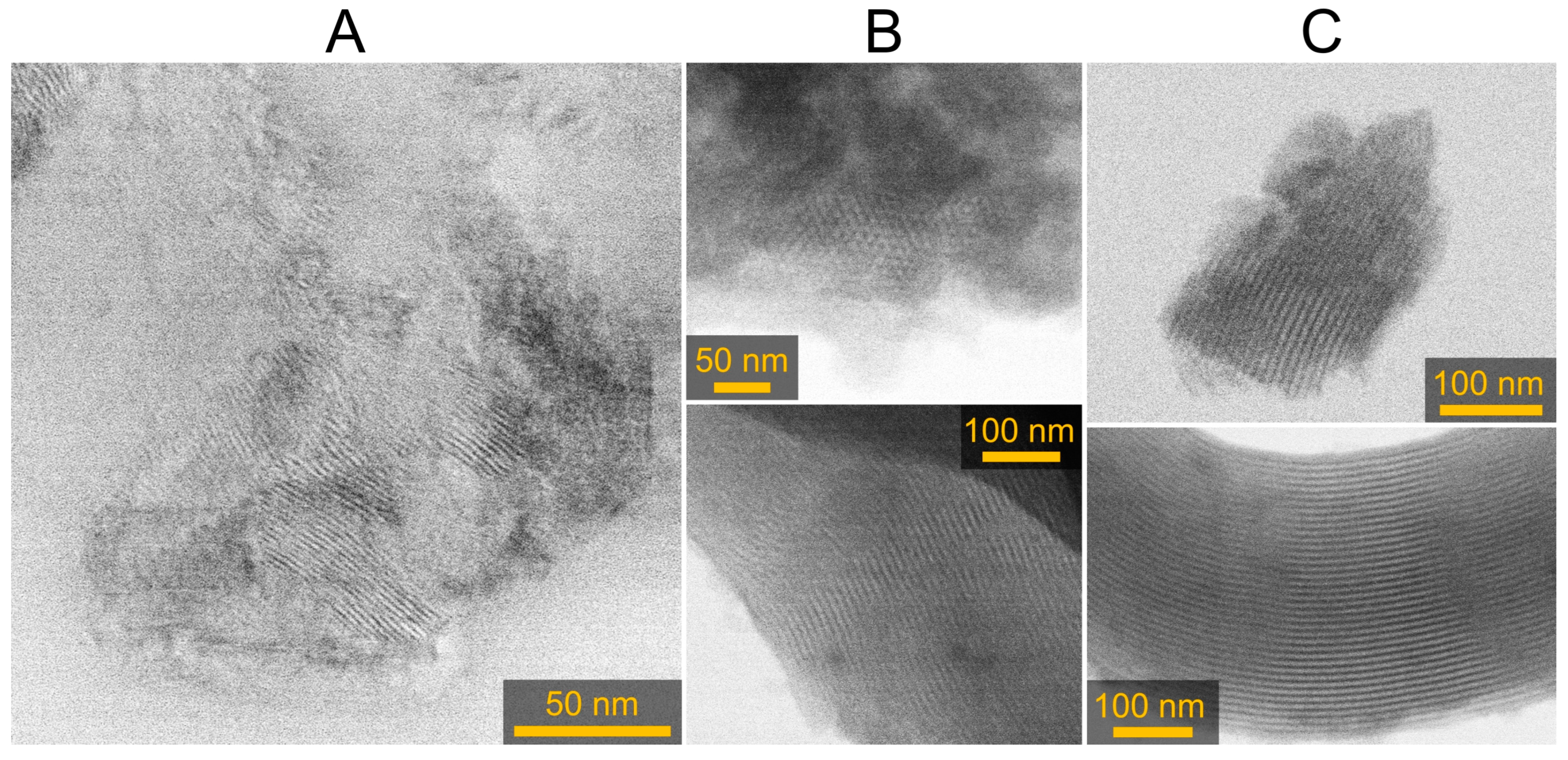 Catalysts 14 00482 g010