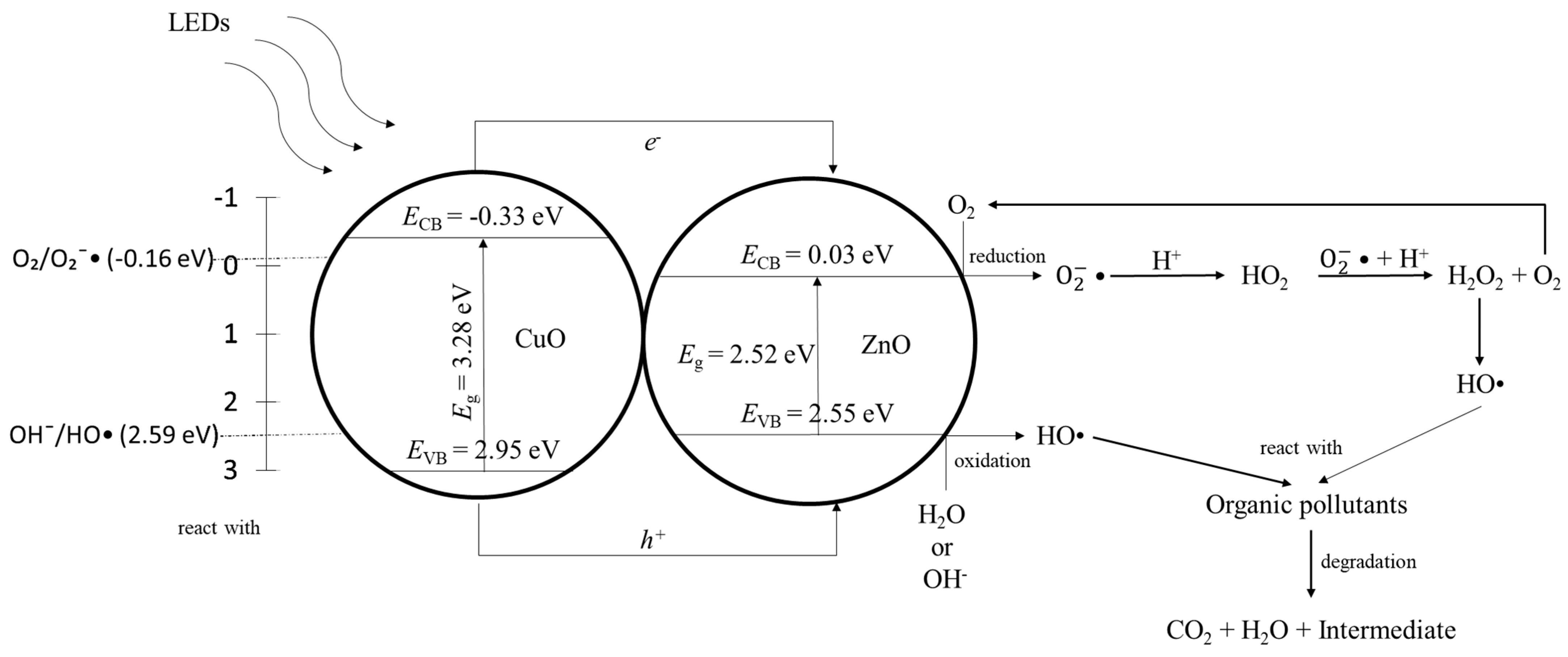 Catalysts 14 00486 g009