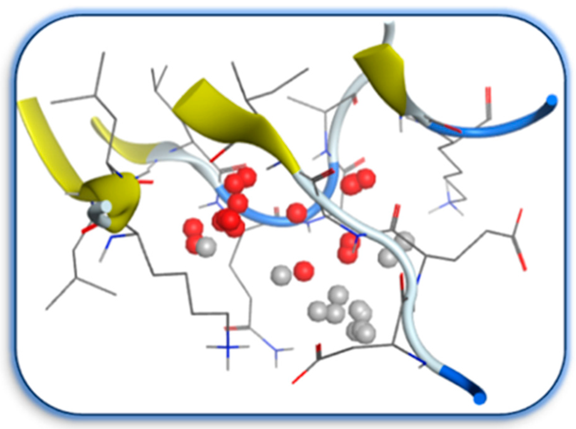 Catalysts 14 00489 g003