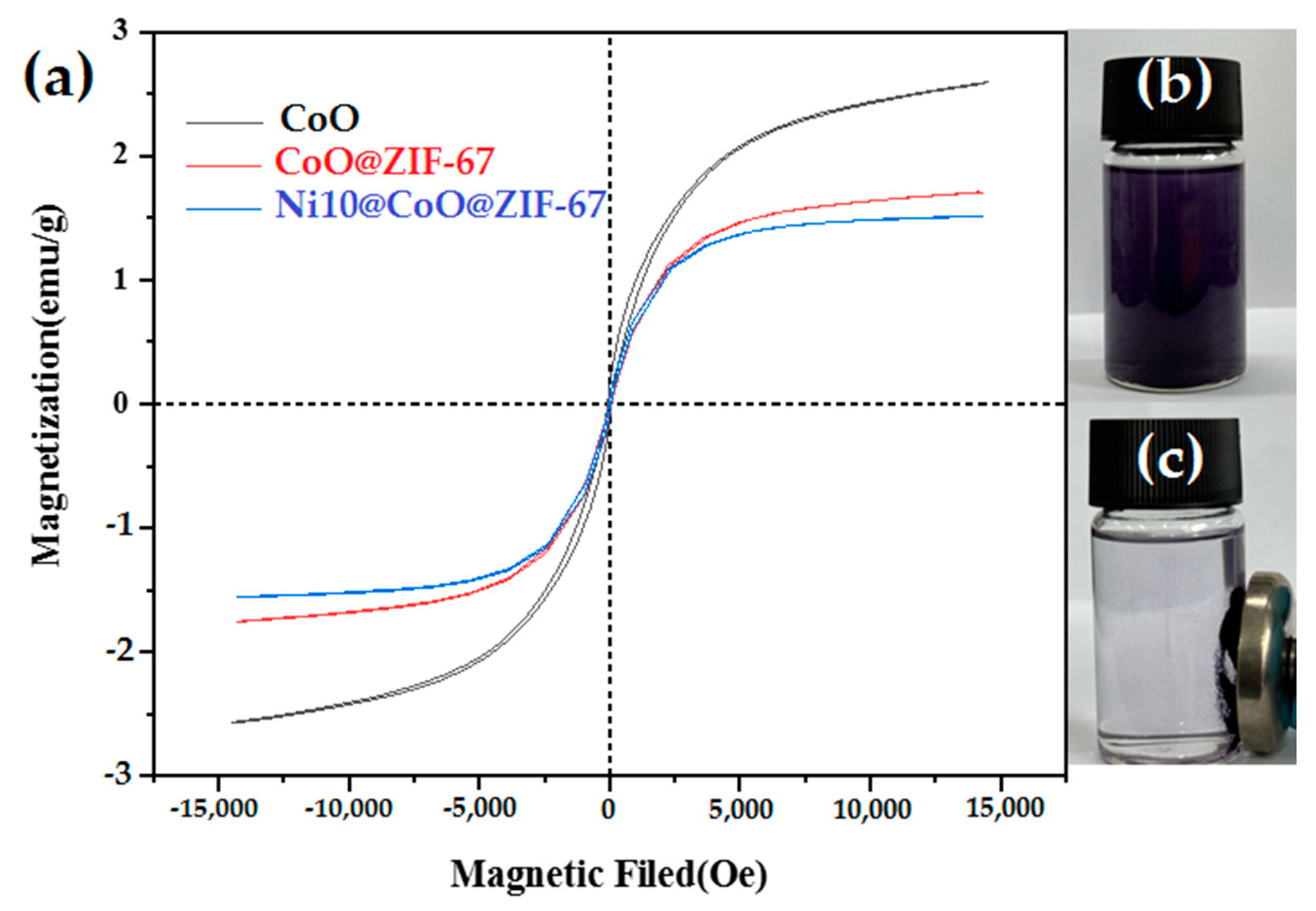 Catalysts 14 00490 g005