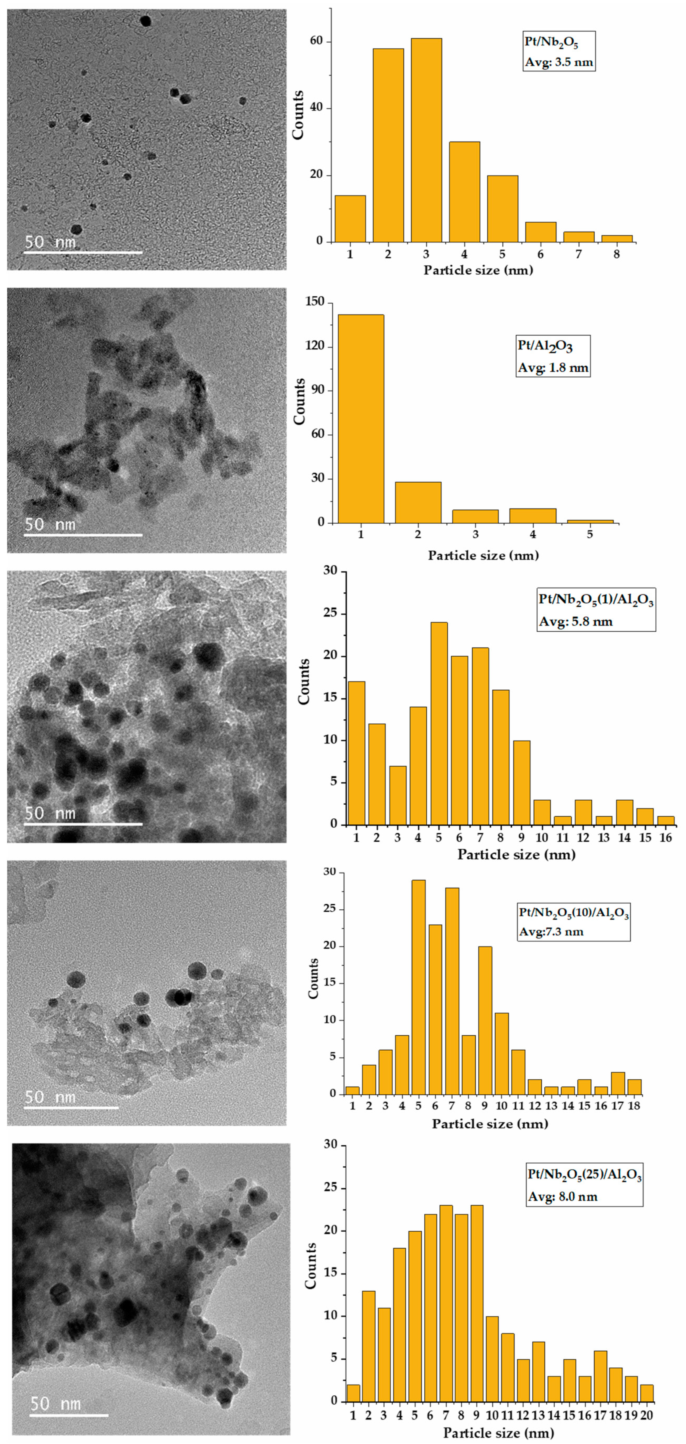 Catalysts 14 00493 g006