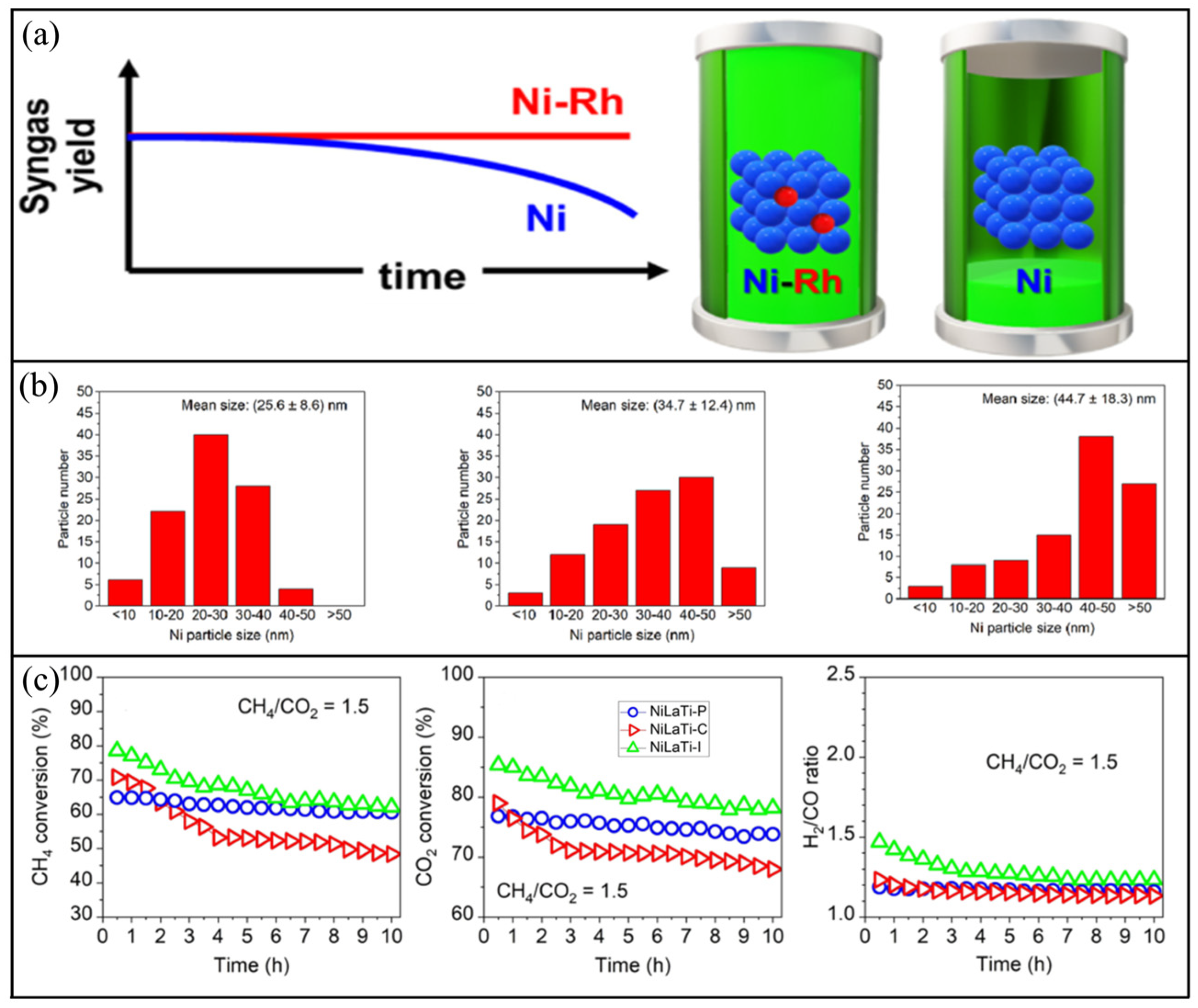 Catalysts 14 00494 g003