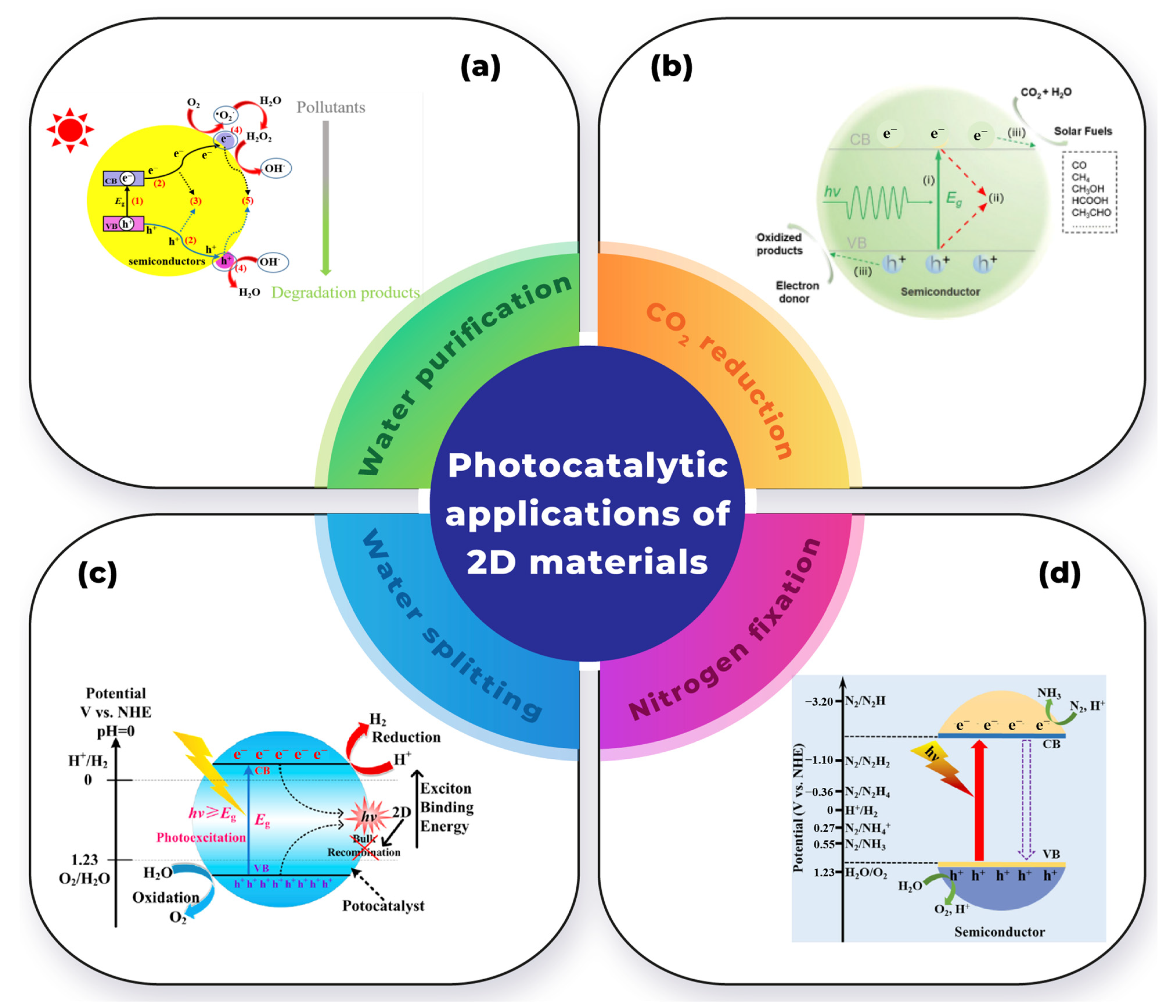 Catalysts 14 00500 g005