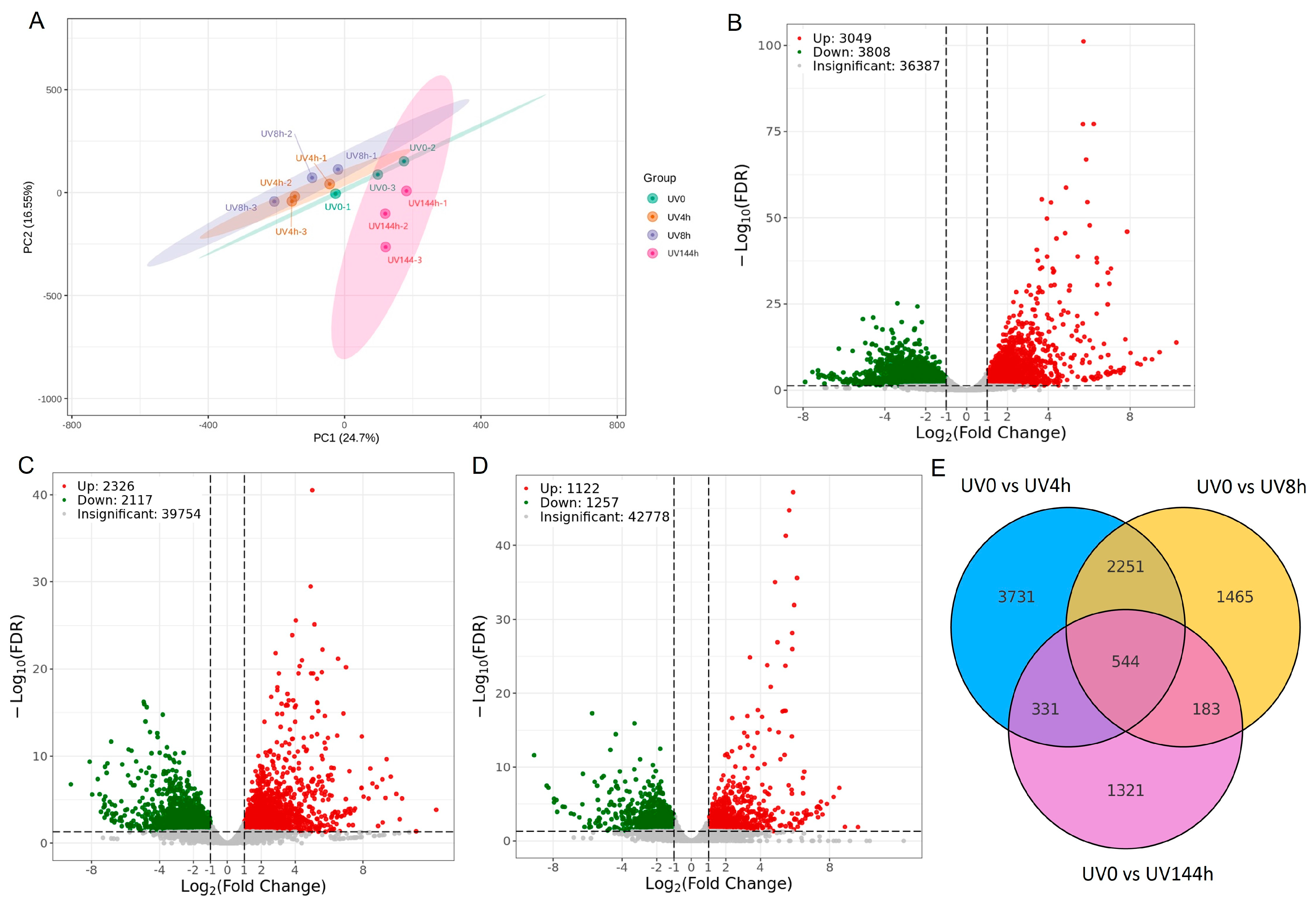Catalysts 14 00504 g001