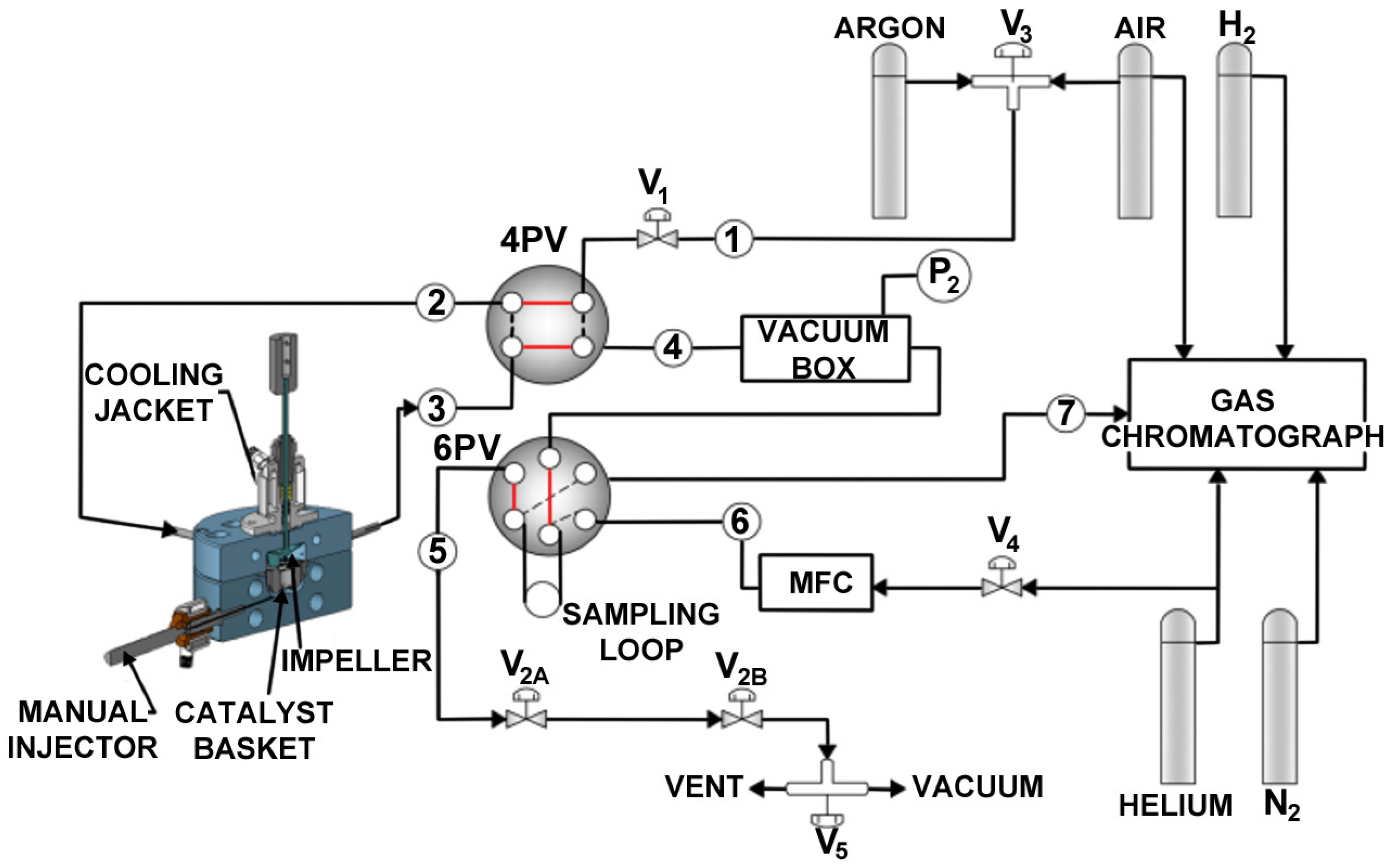 Catalysts 14 00505 g0a2