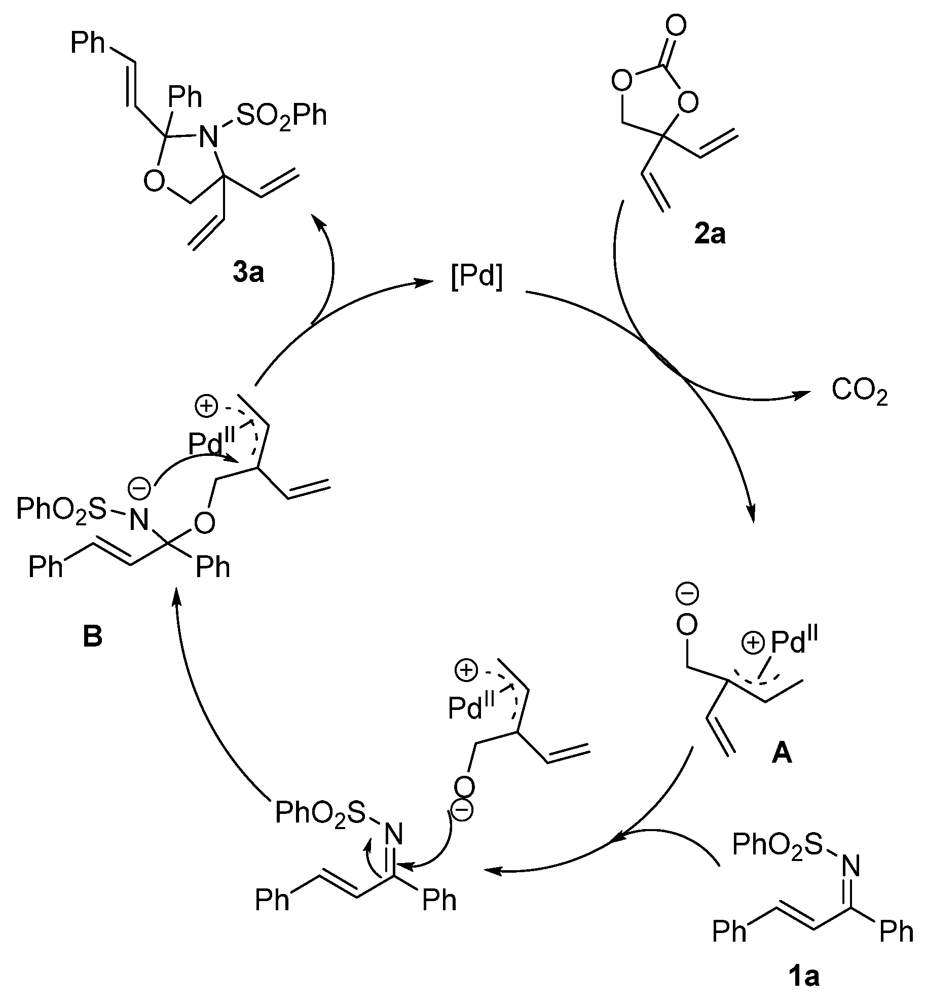 Catalysts 14 00508 sch003