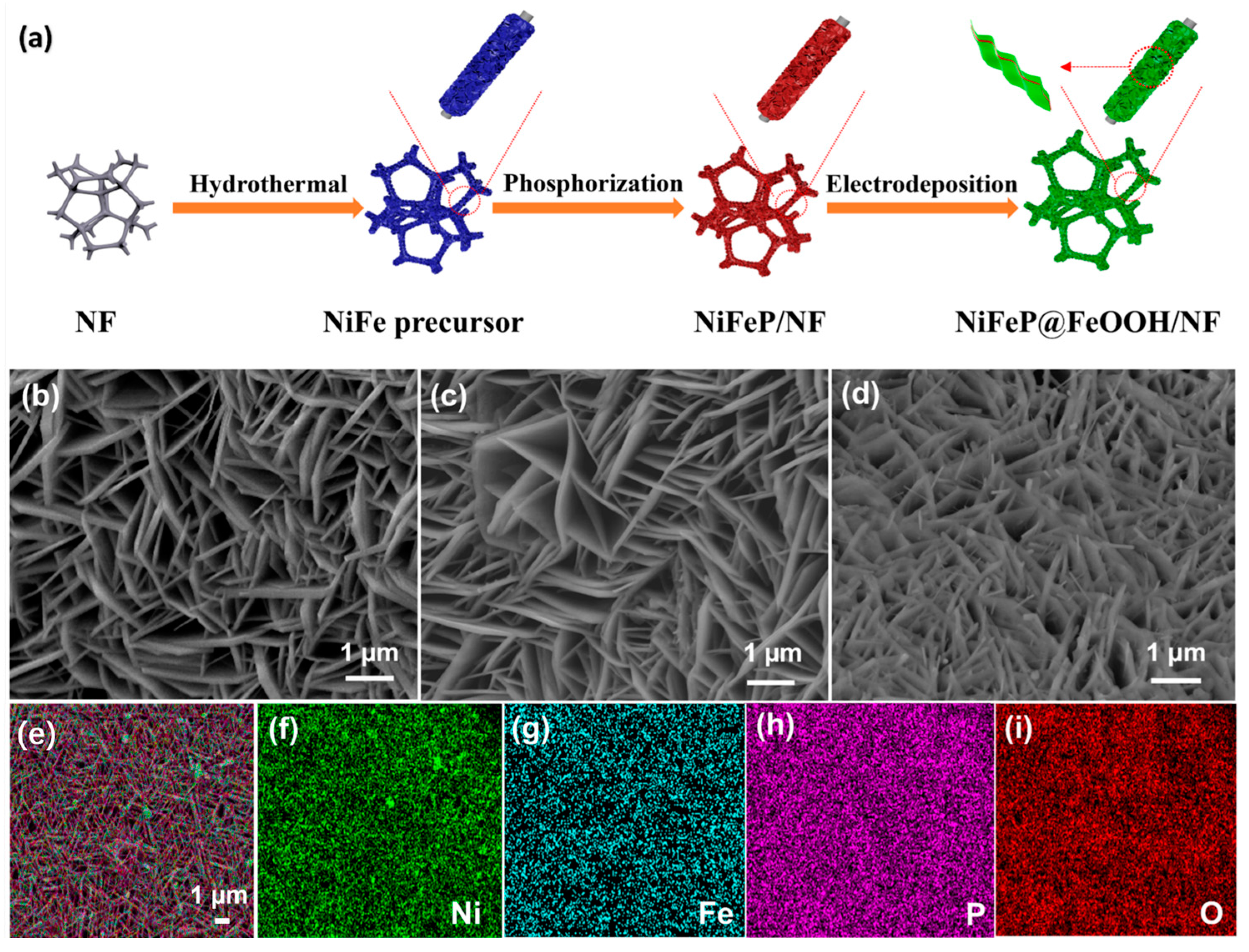 Catalysts 14 00511 g001