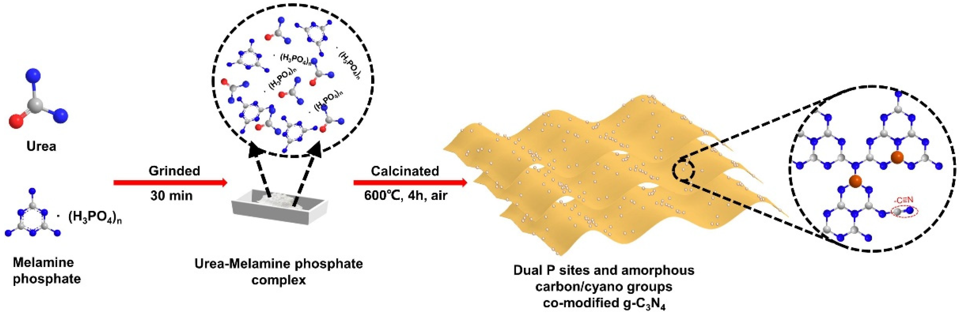 Catalysts 14 00523 sch001