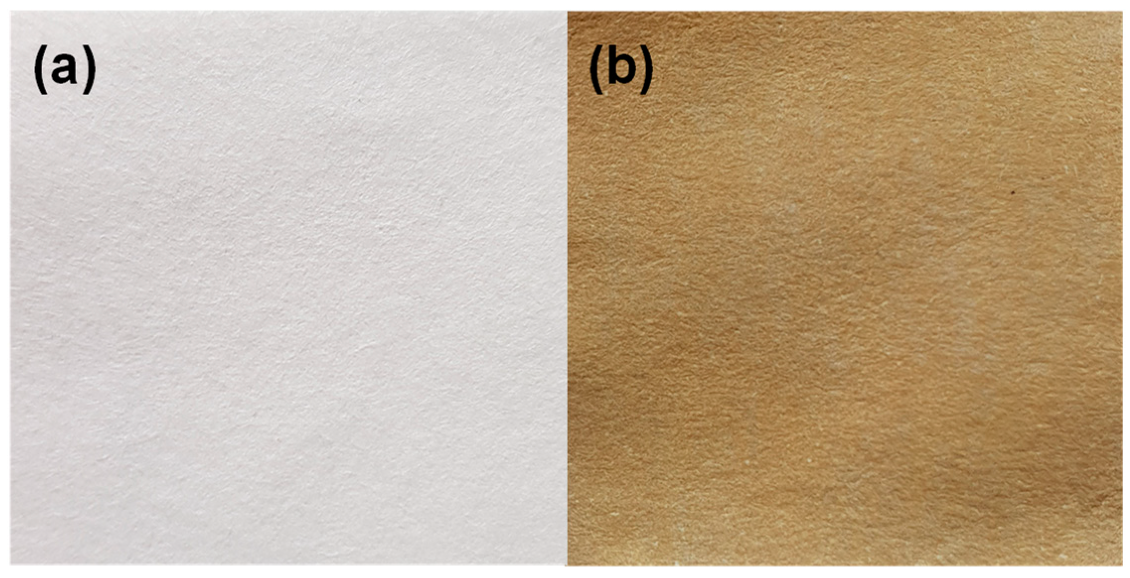 Catalysts 14 00525 g001