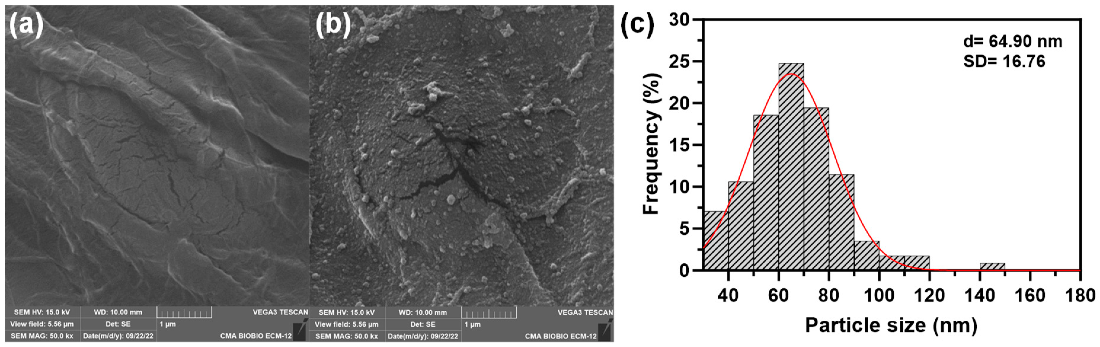 Catalysts 14 00525 g002