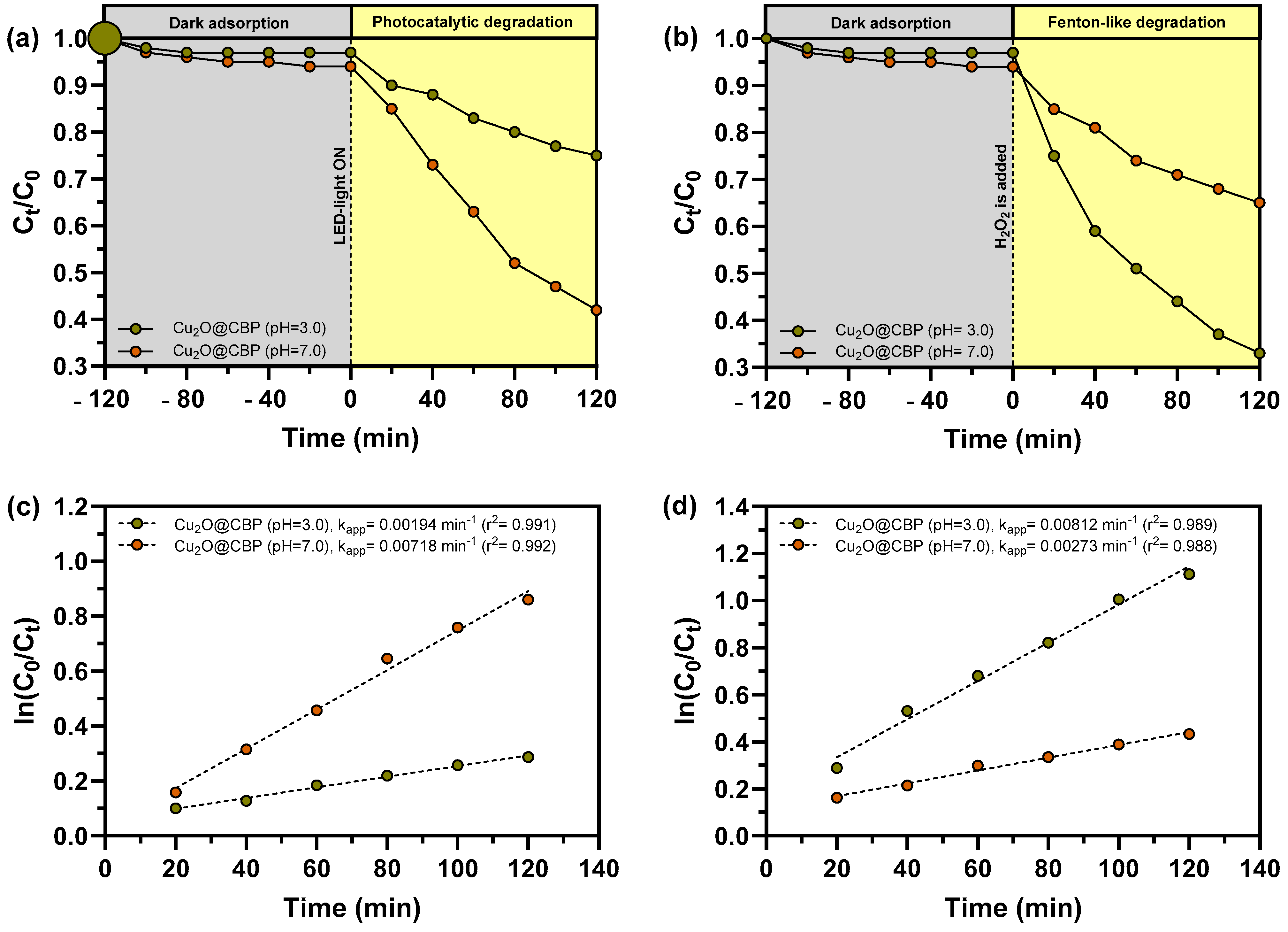 Catalysts 14 00525 g008