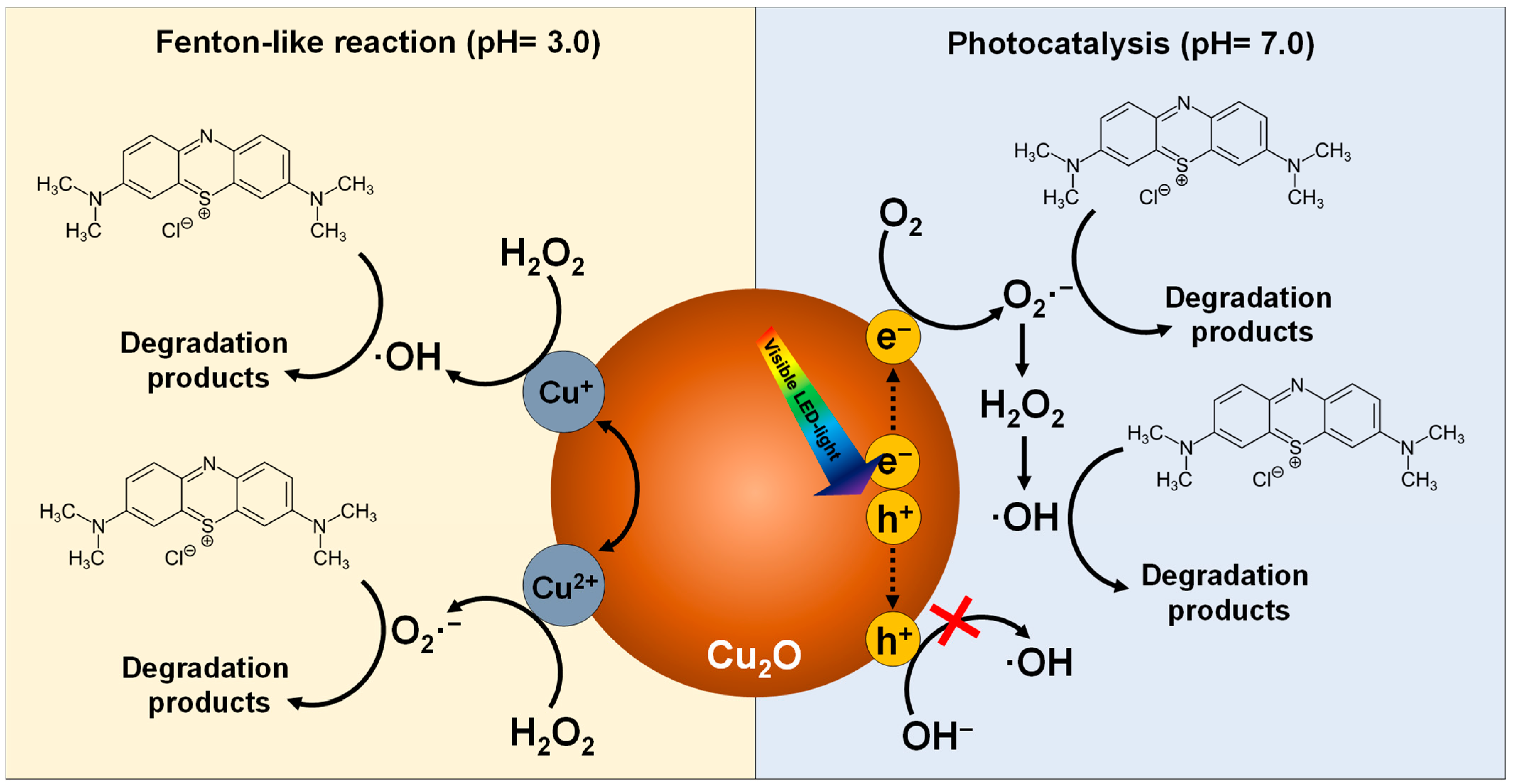 Catalysts 14 00525 g011