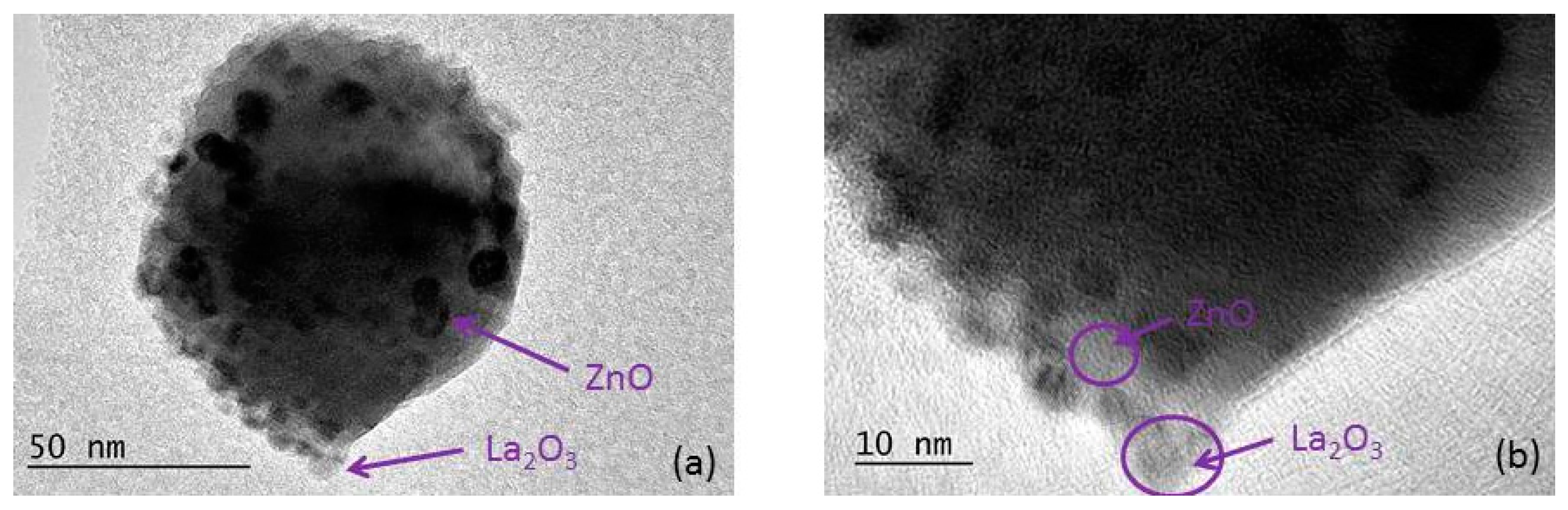 Catalysts 14 00527 g004