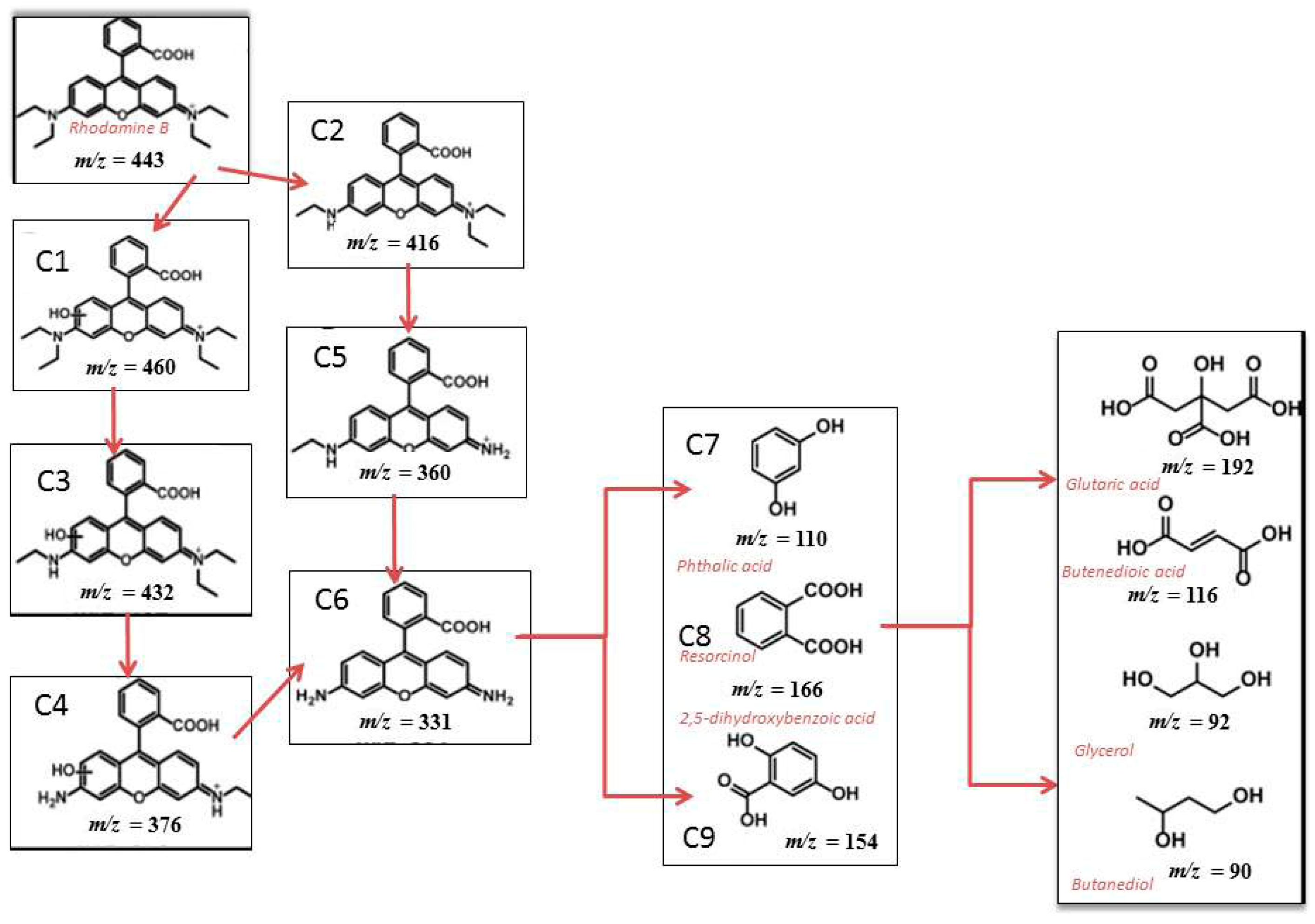 Catalysts 14 00527 g010