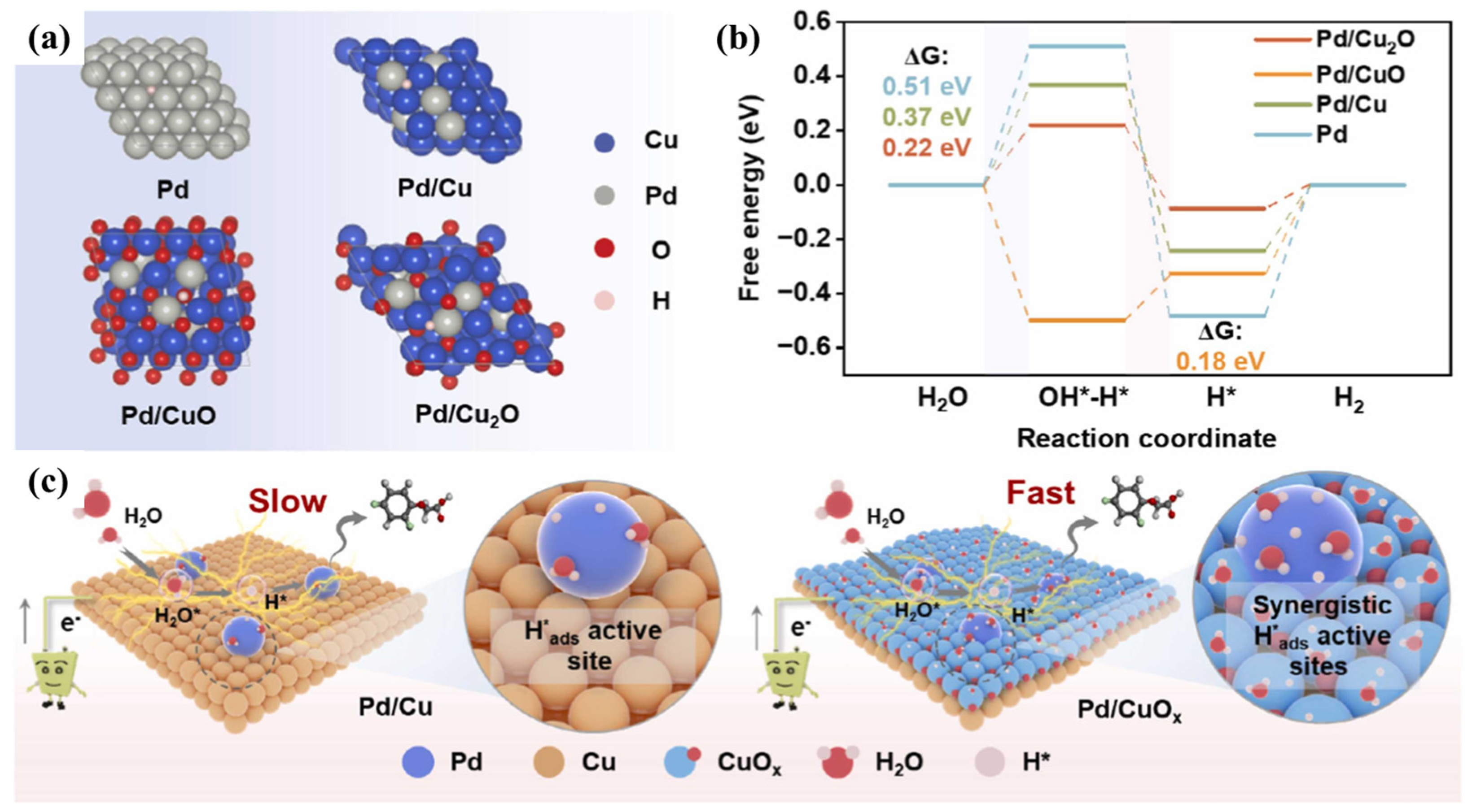 Catalysts 14 00531 g006