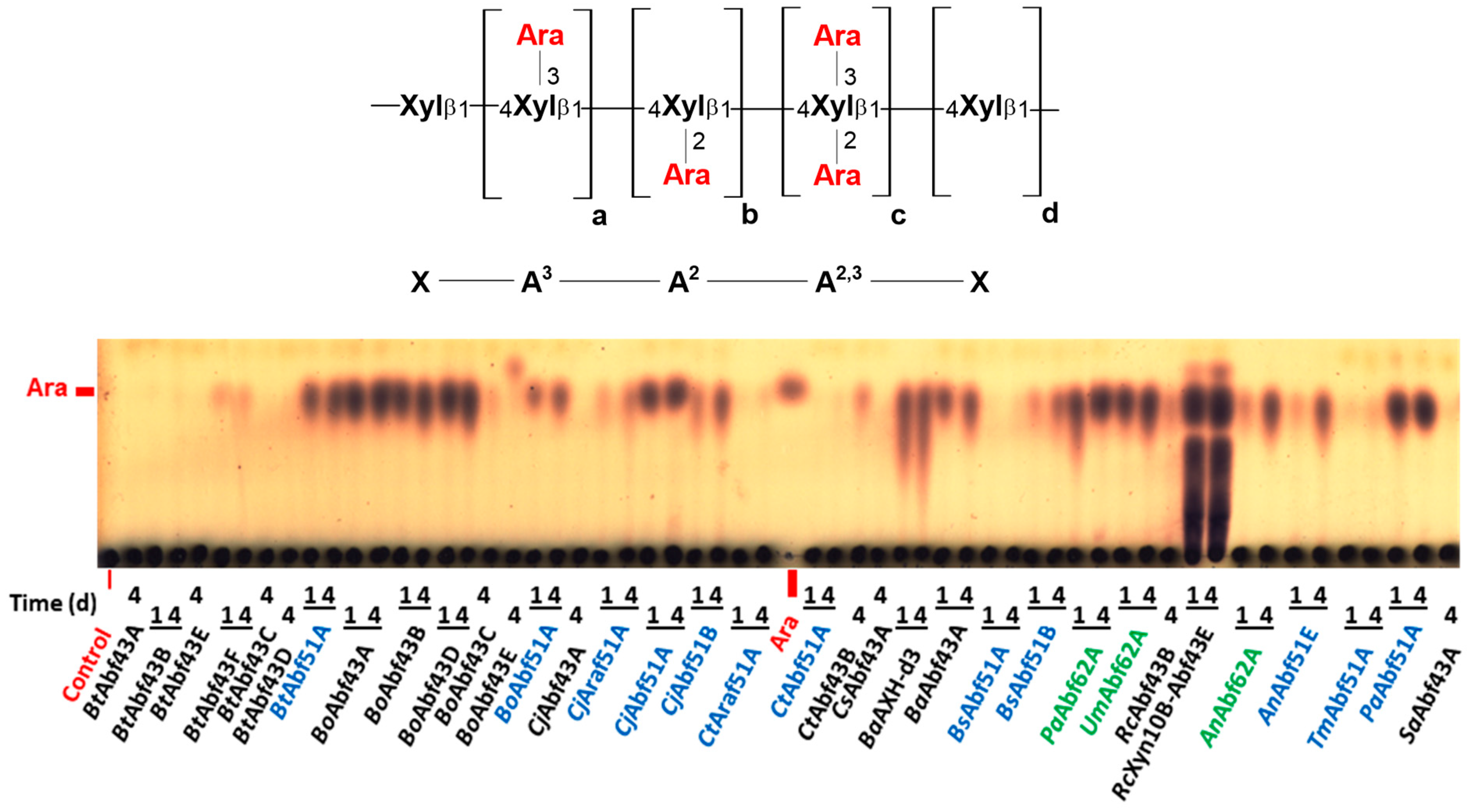 Catalysts 14 00536 g001