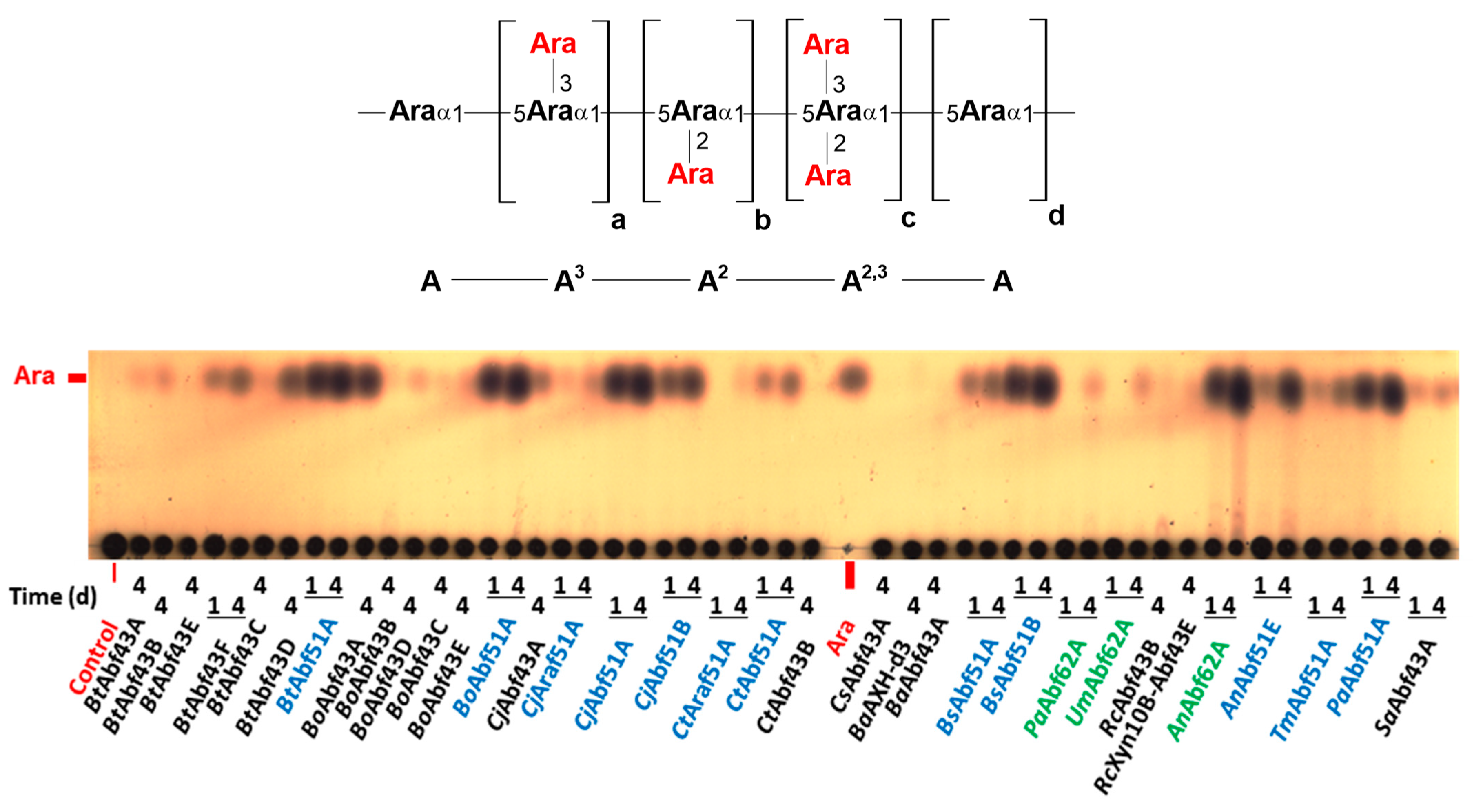 Catalysts 14 00536 g004
