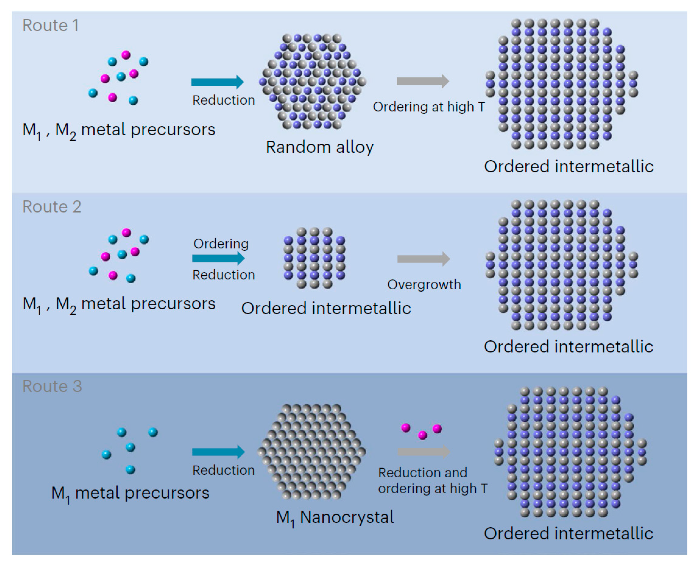 Catalysts 14 00538 g006
