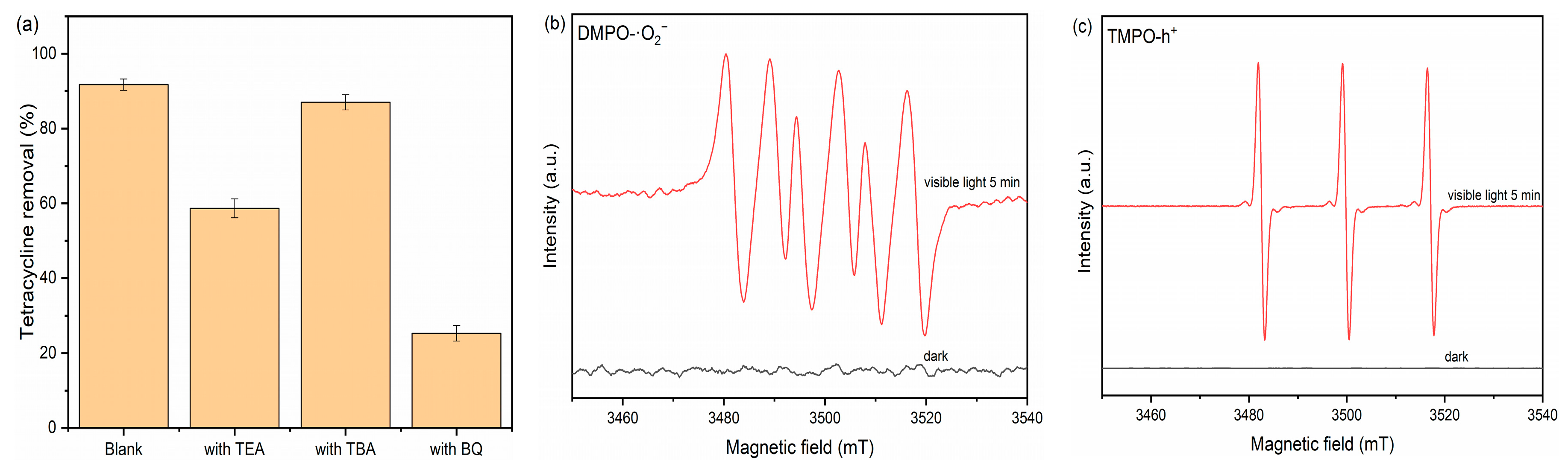 Catalysts 14 00539 g006