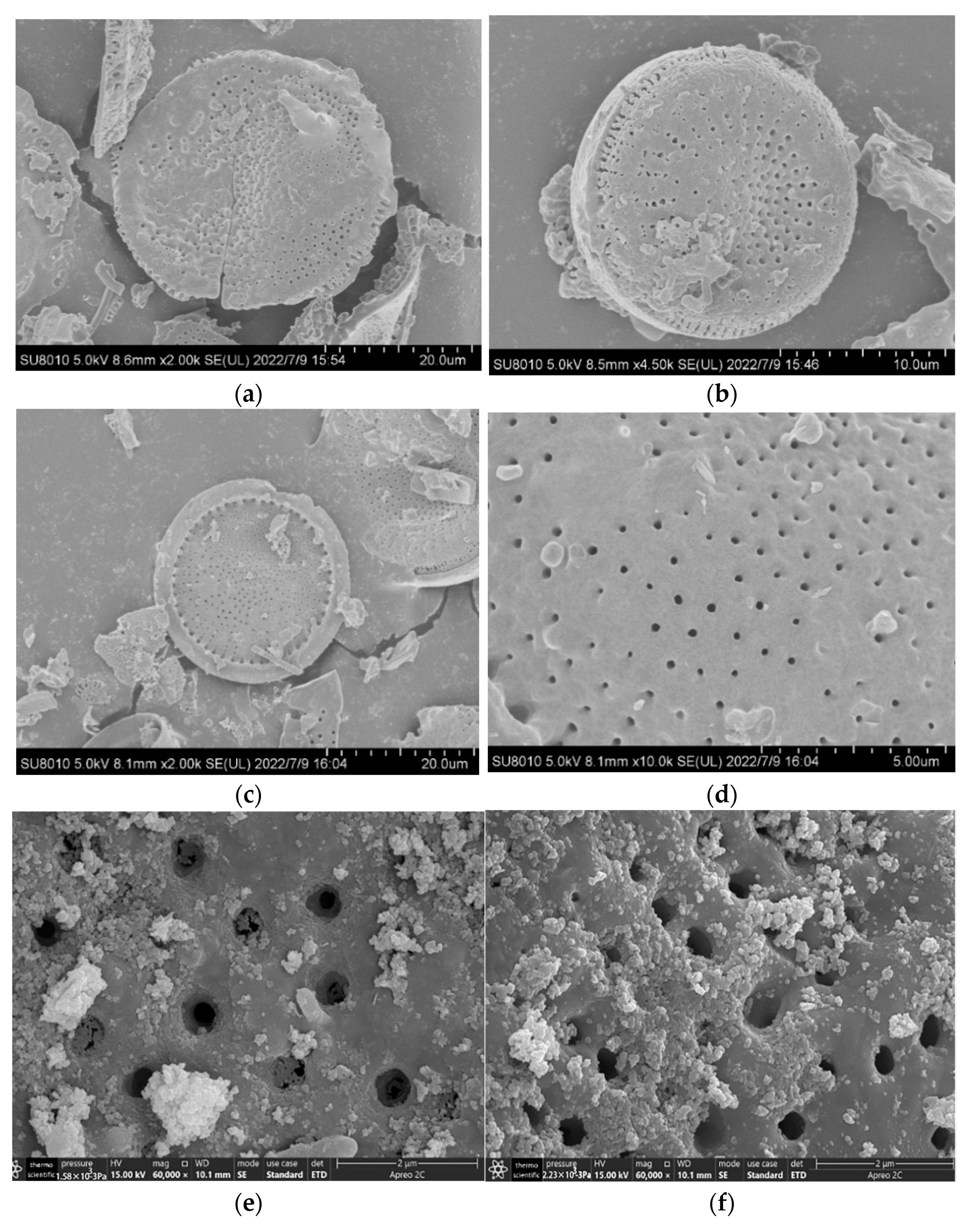 Catalysts 14 00540 g006