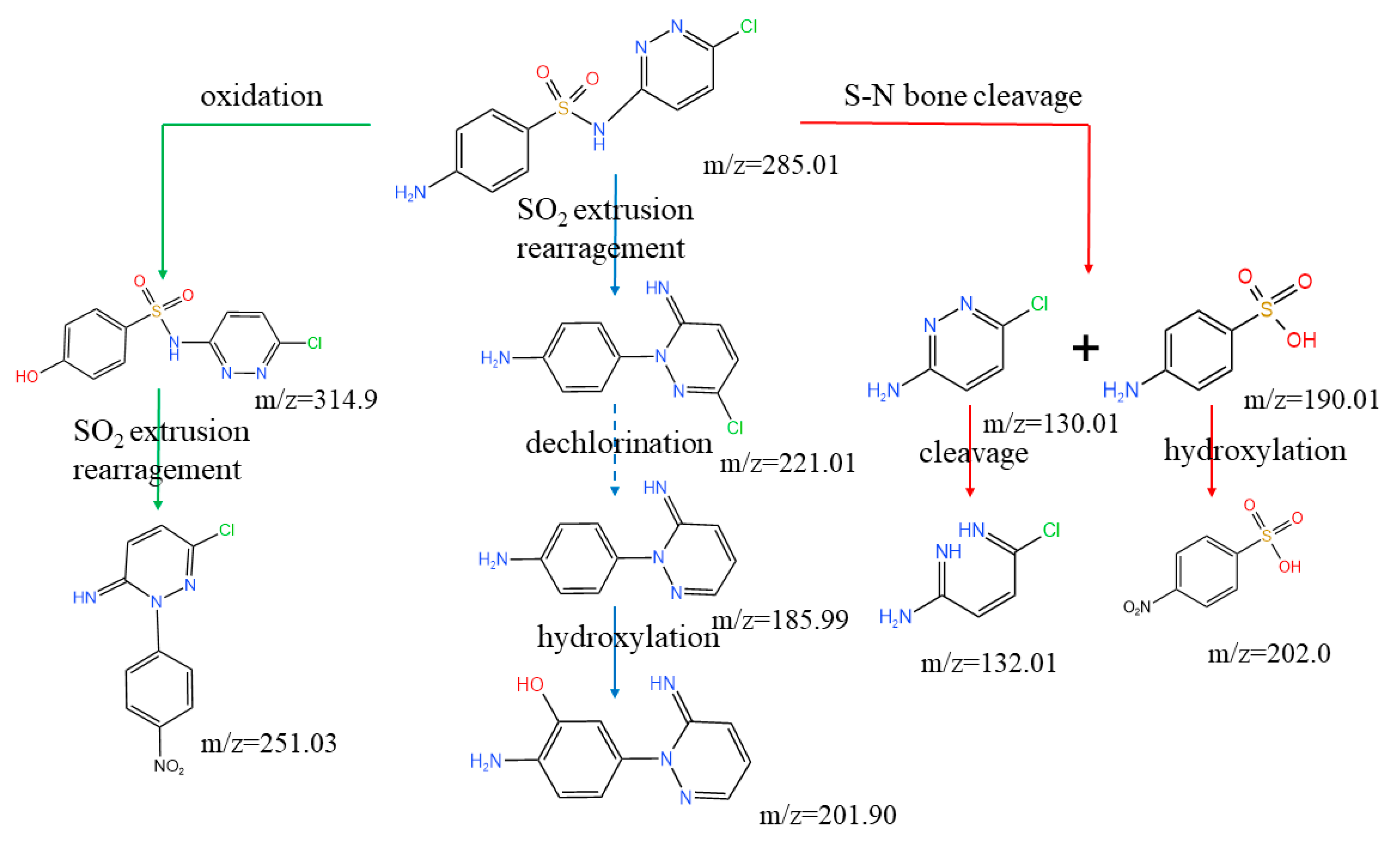 Catalysts 14 00540 g011