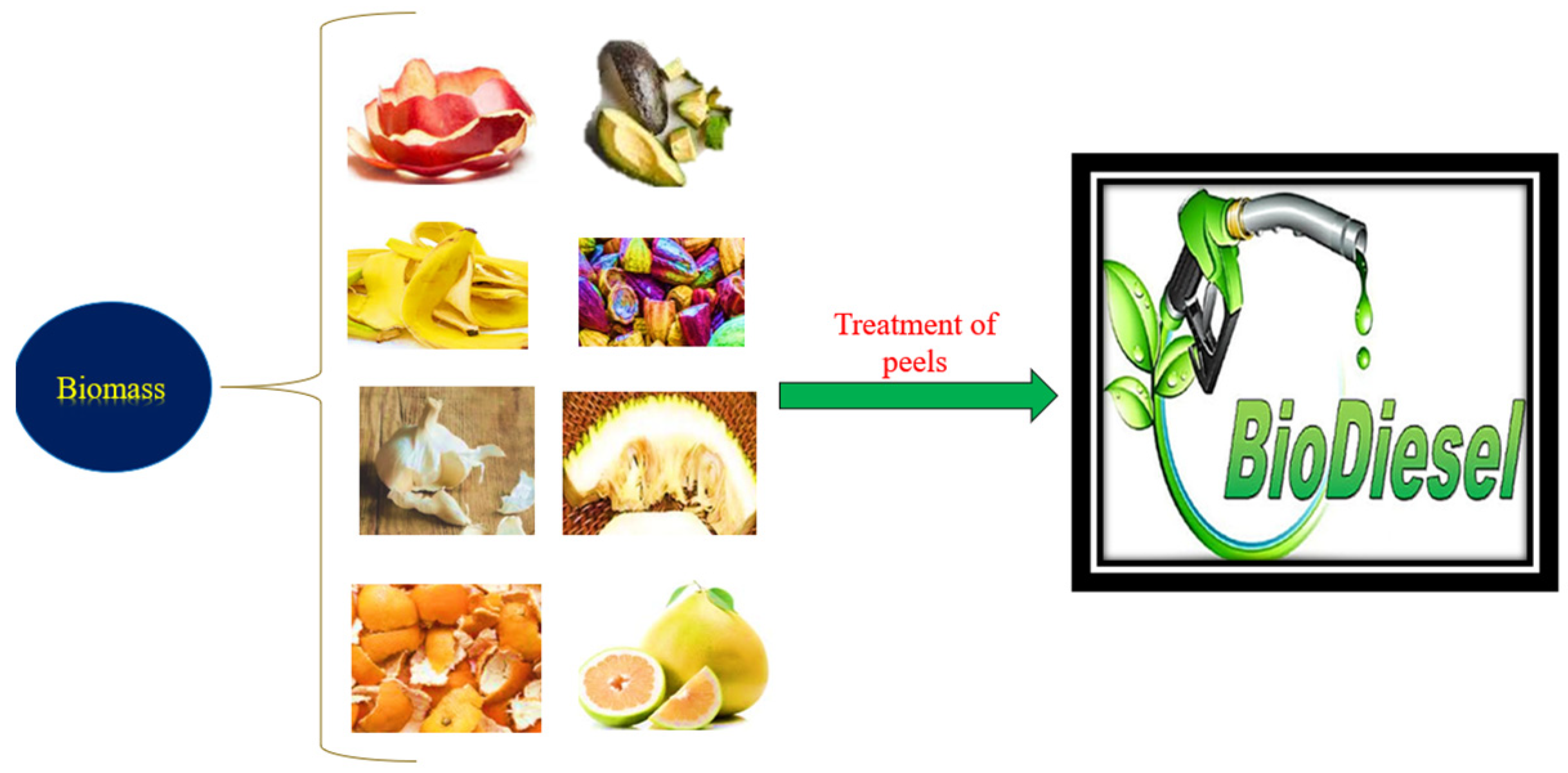 Catalysts 14 00549 g001