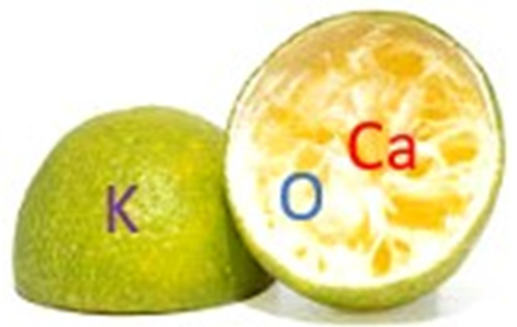 Catalysts 14 00549 g015