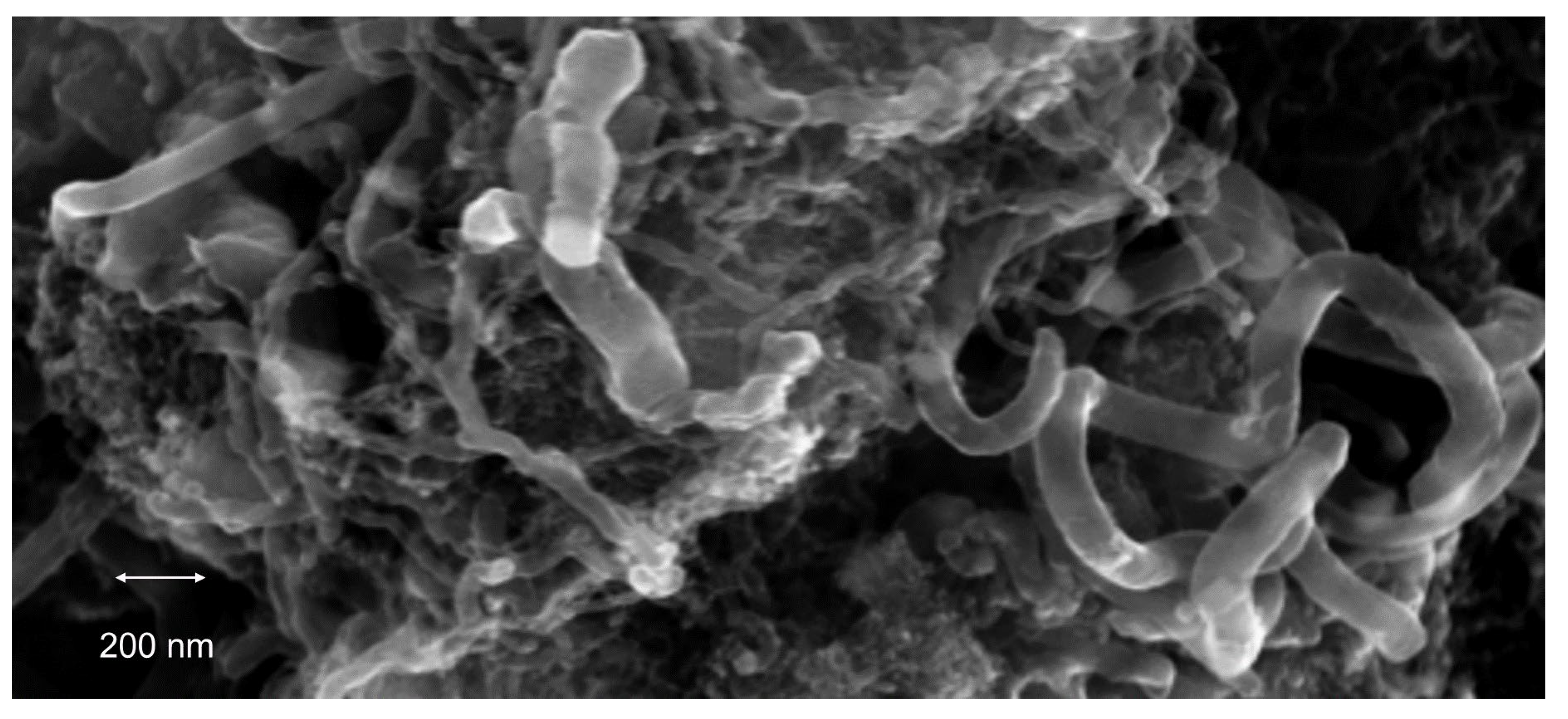 Catalysts 14 00552 g005