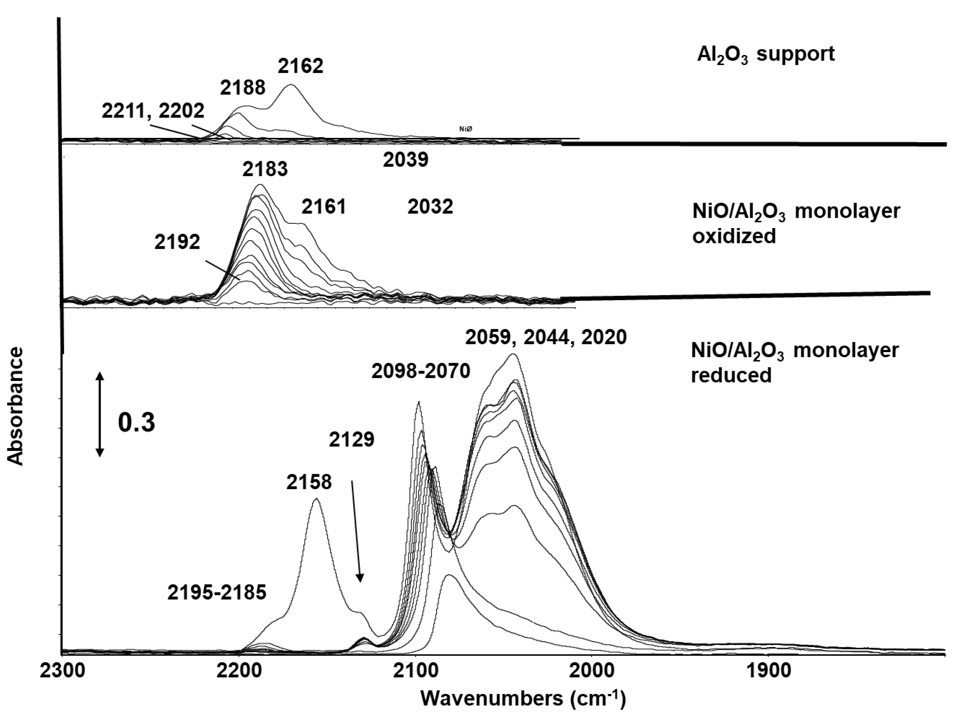 Catalysts 14 00552 g007