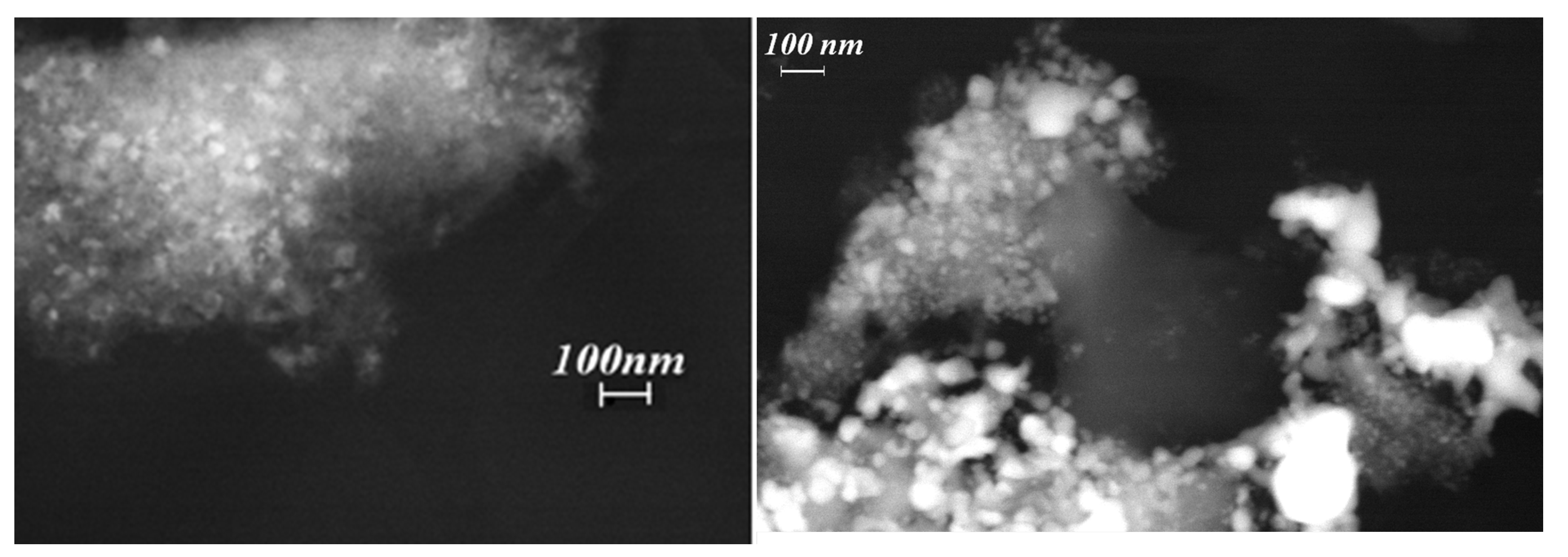 Catalysts 14 00552 g008