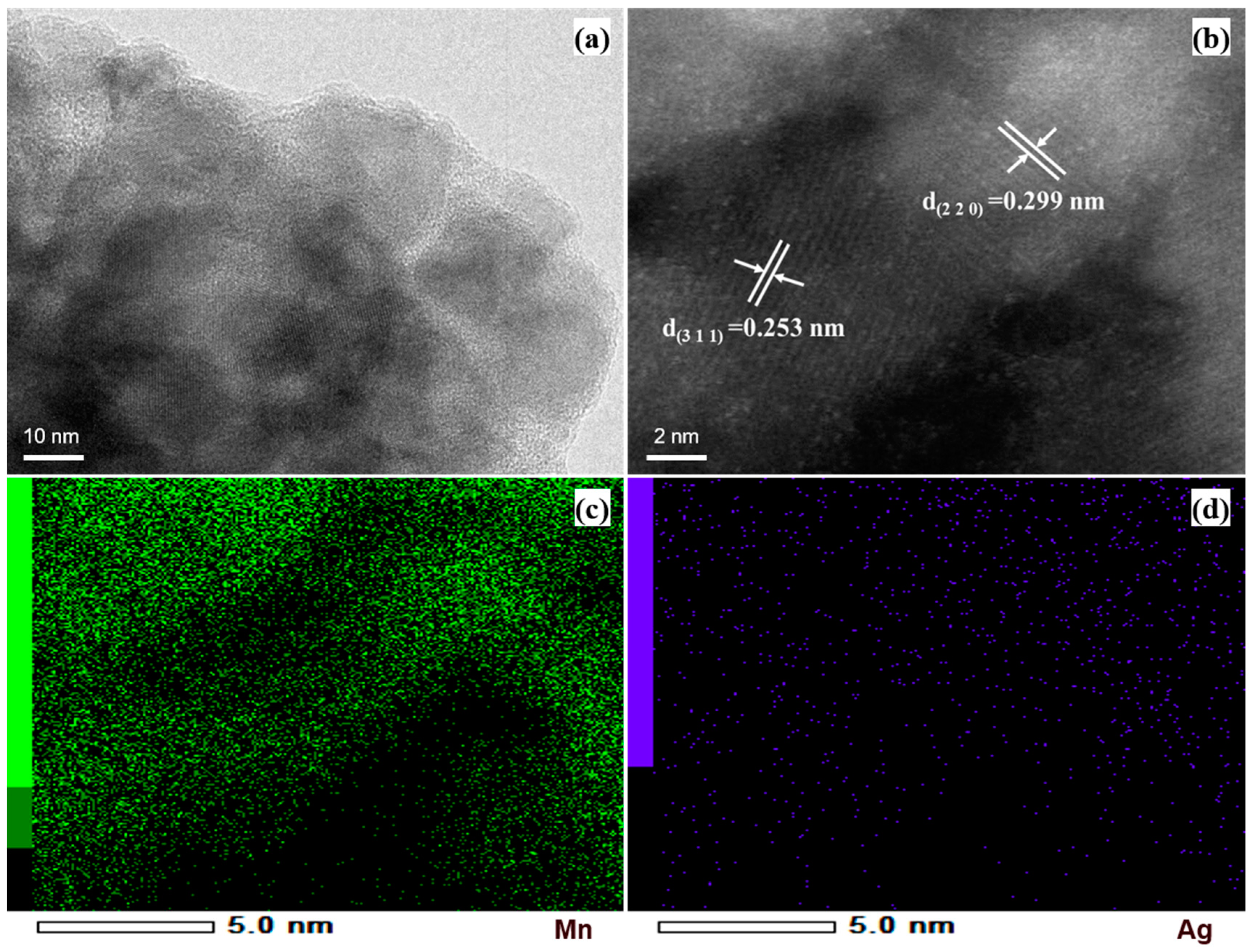 Catalysts 14 00554 g002