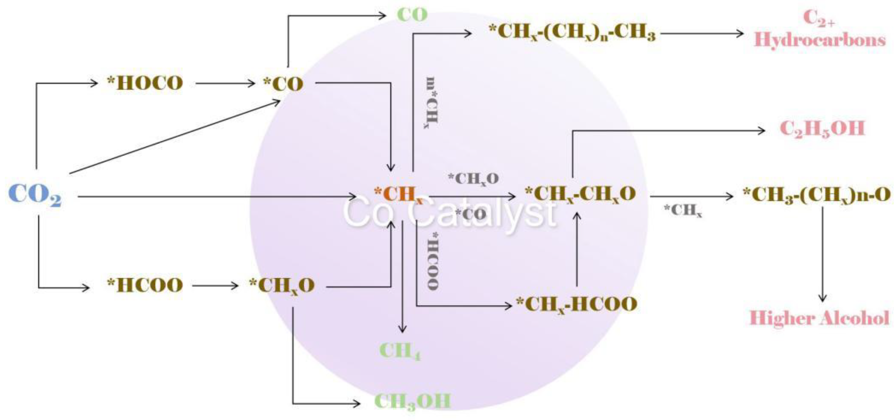 Catalysts 14 00560 g003